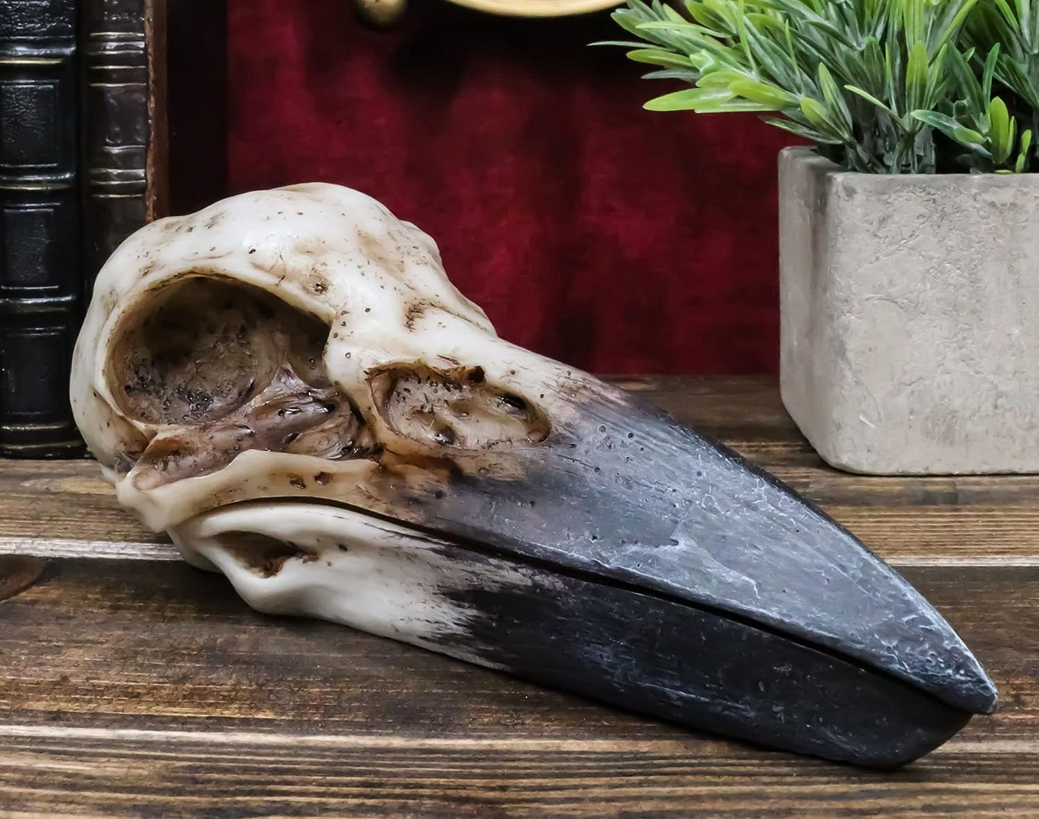 Ebros Bad Omens Witchcraft Gothic Raven Crow Skull Decorative Jewelry Box 8.25\