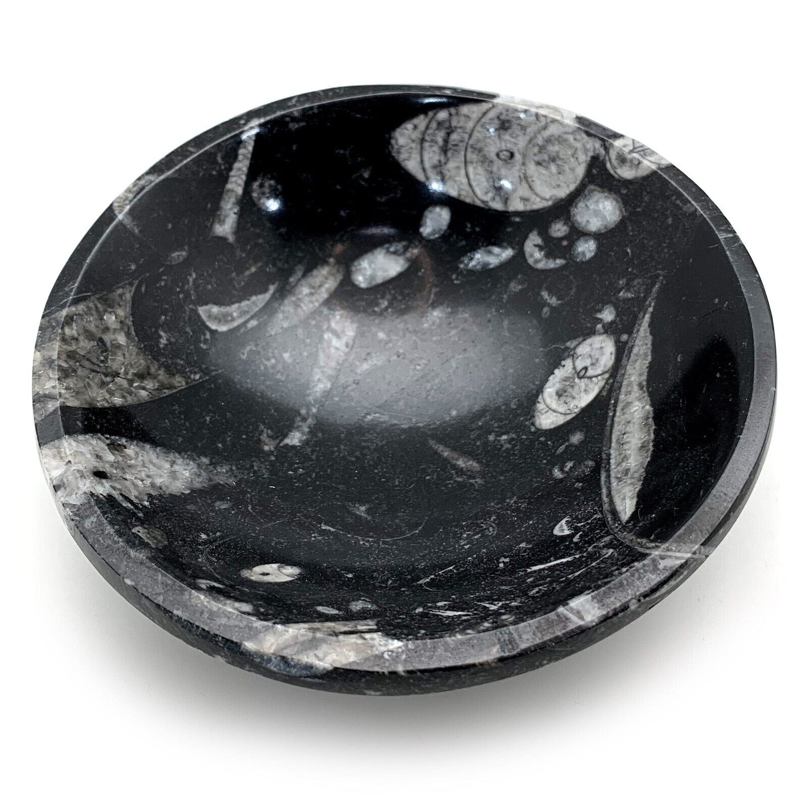 Fossil Orthoceras Bowl | Crystal Charging Bowl Natural Gemstone Jewelry Bowl