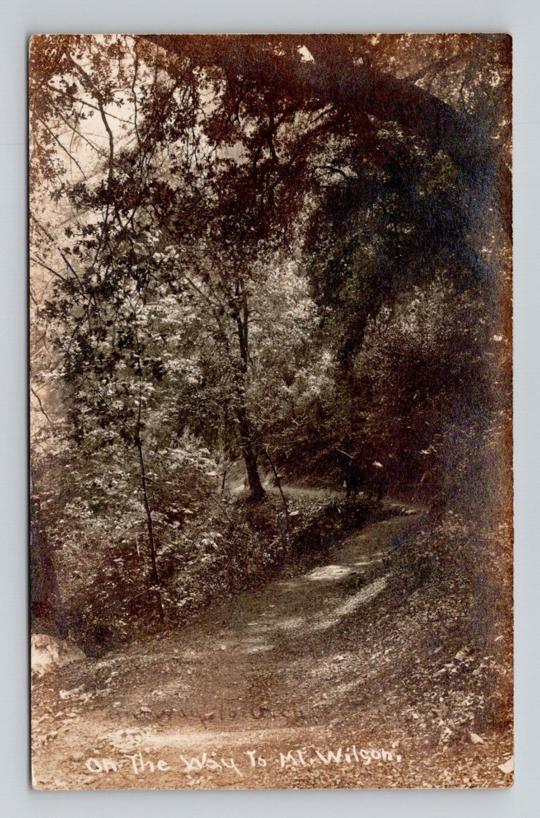 RPPC Road to Mt Wilson California, 1910 Antique Real Photo M1