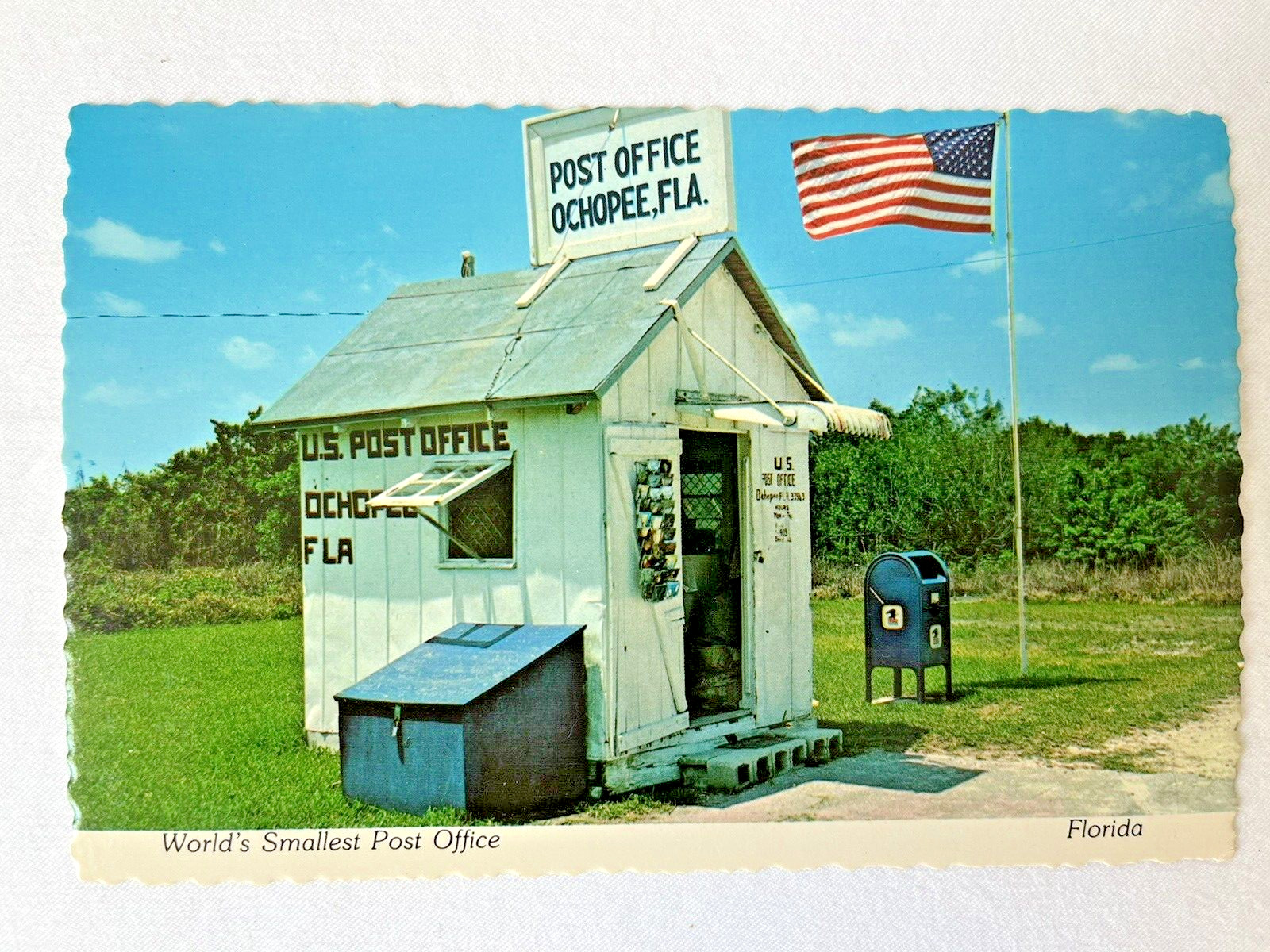 Vintage Ochopee Florida World's Smallest Post Office Postcard 1970s