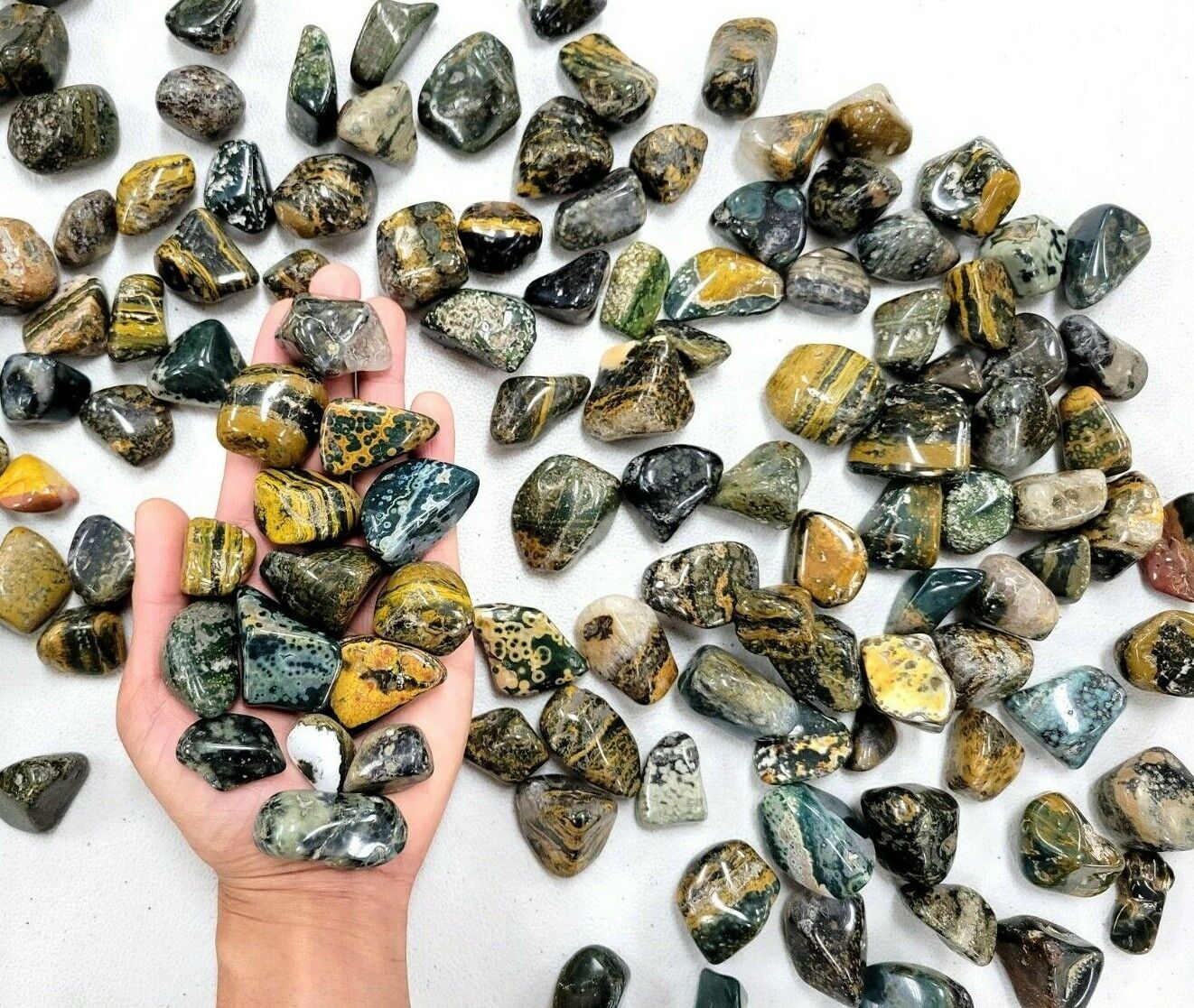 Tumbled Sea Jasper Crystals Bulk Orbicular Jasper Stones Polished Gems Tumbles