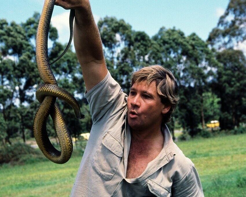 Steve Irwin Crocodile Hunter holding large snake 24x36 Poster