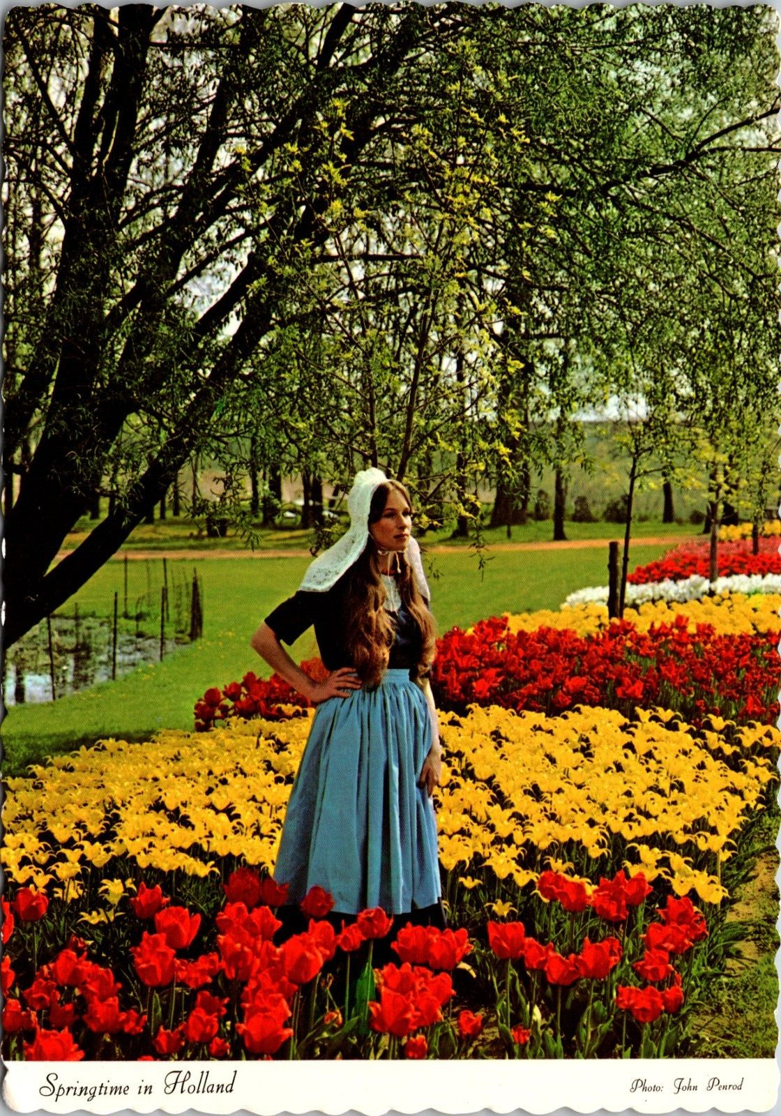 Tulips Girl In Dutch Dress Holland Michigan MI Continental 6x4 Postcard L66