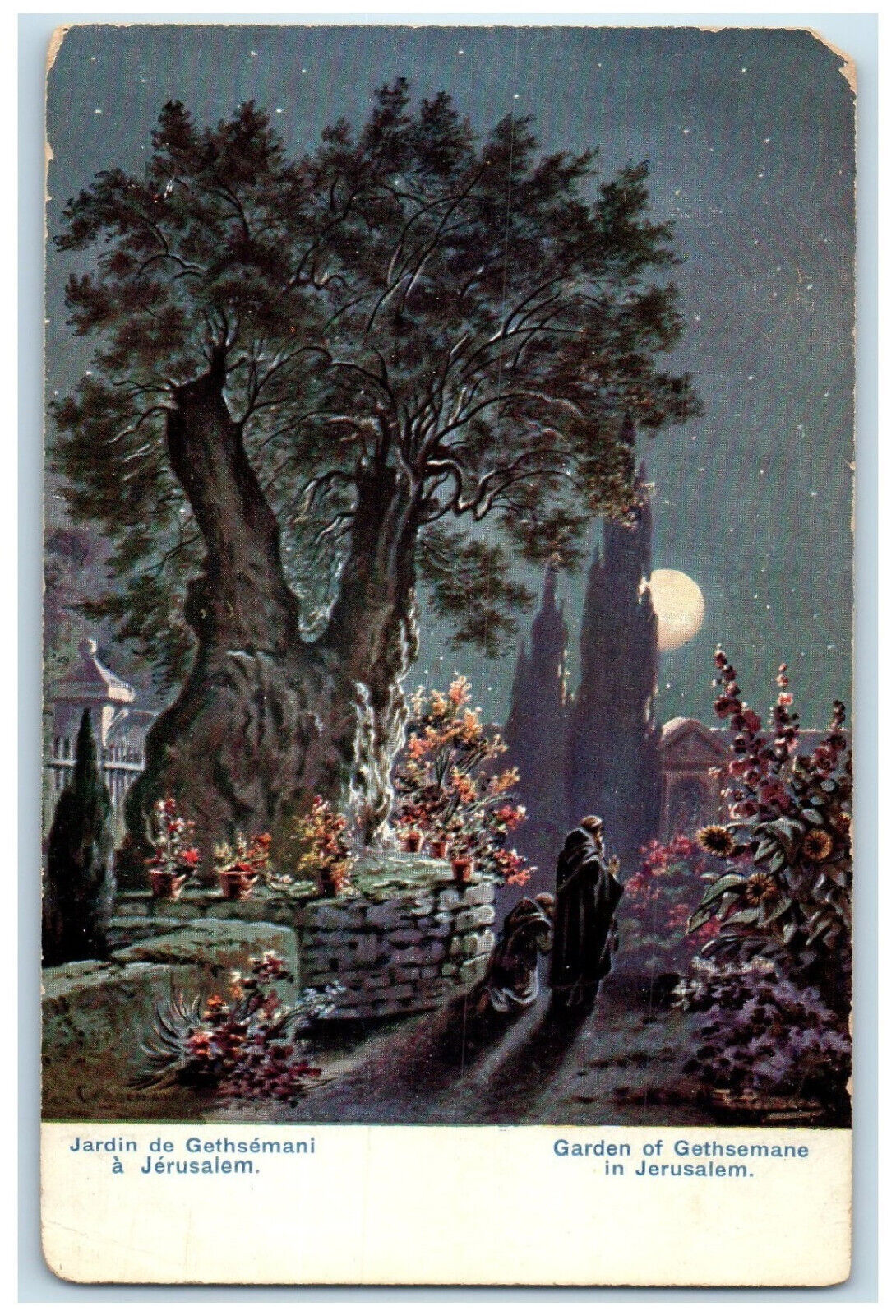 c1910 Moonlight at Garden of Gethsemane Jerusalem Palestine Antique Postcard