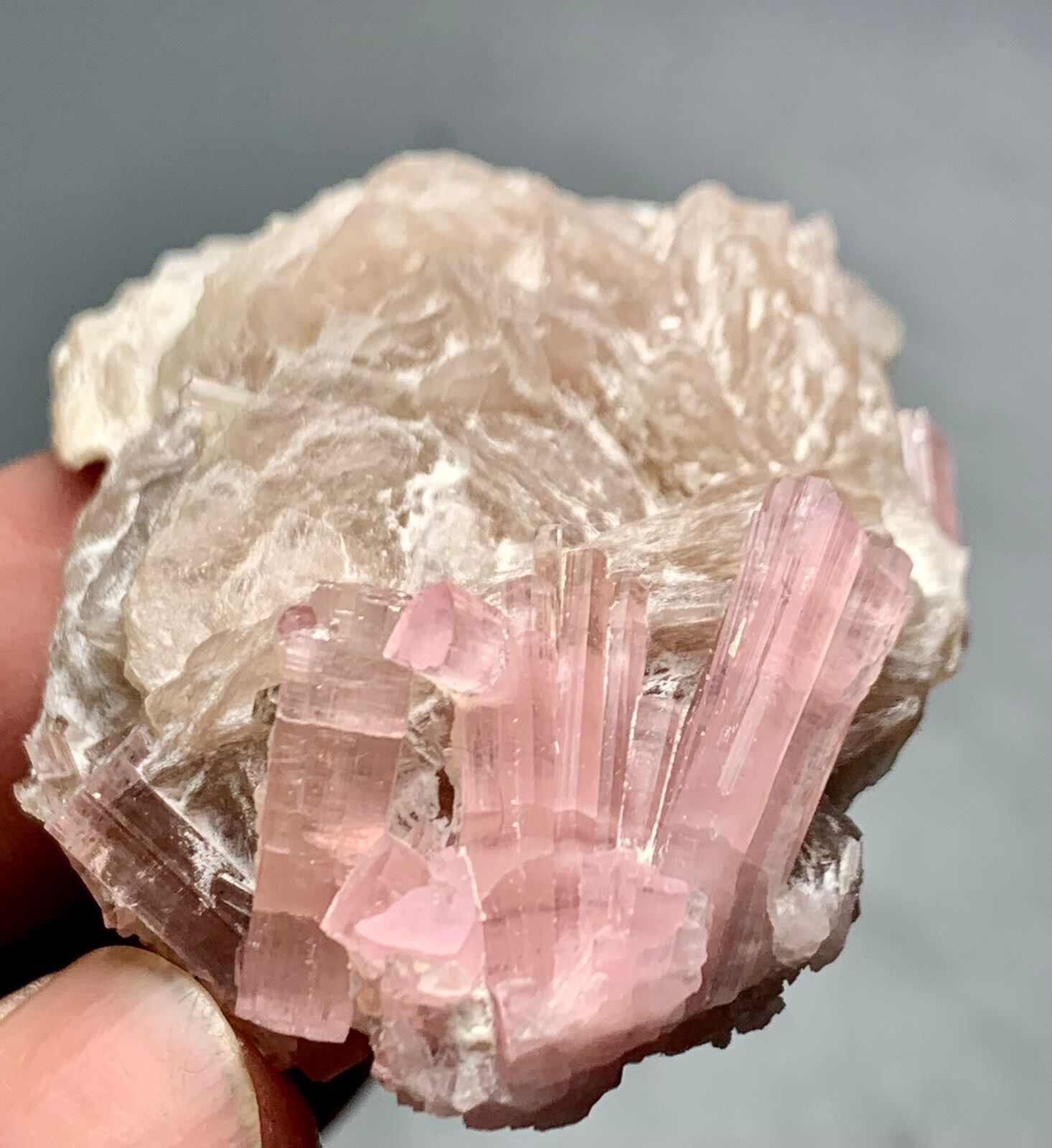 250 Cts  Top Quality Pink Tourmaline Crystals Bunch Specimen from Afghanistan