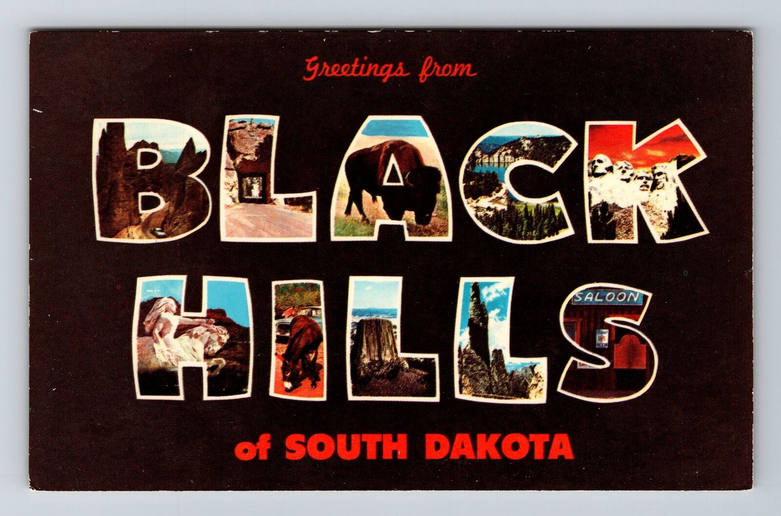 Black Hills SD-South Dakota, Greetings, LARGE LETTERs, Vintage Postcard