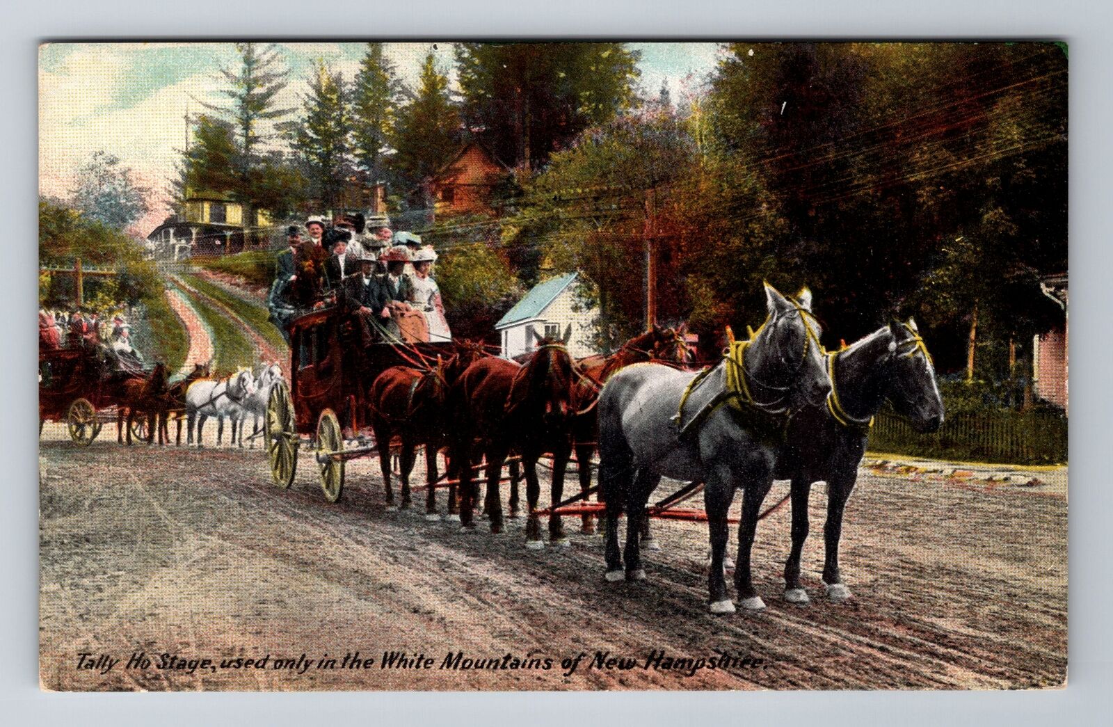 White Mountains NH-New Hampshire, Tally Ho Stage, Antique, Vintage Postcard
