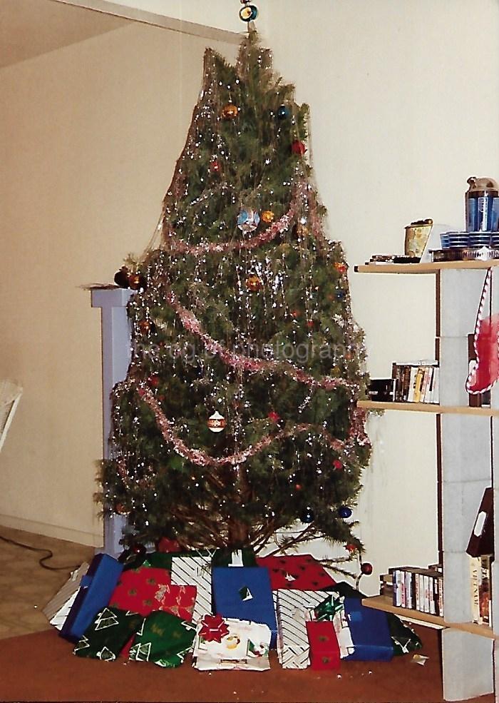 FOUND CHRISTMAS TREE PHOTOGRAPH Color ORIGINAL Snapshot VINTAGE 312 55 M