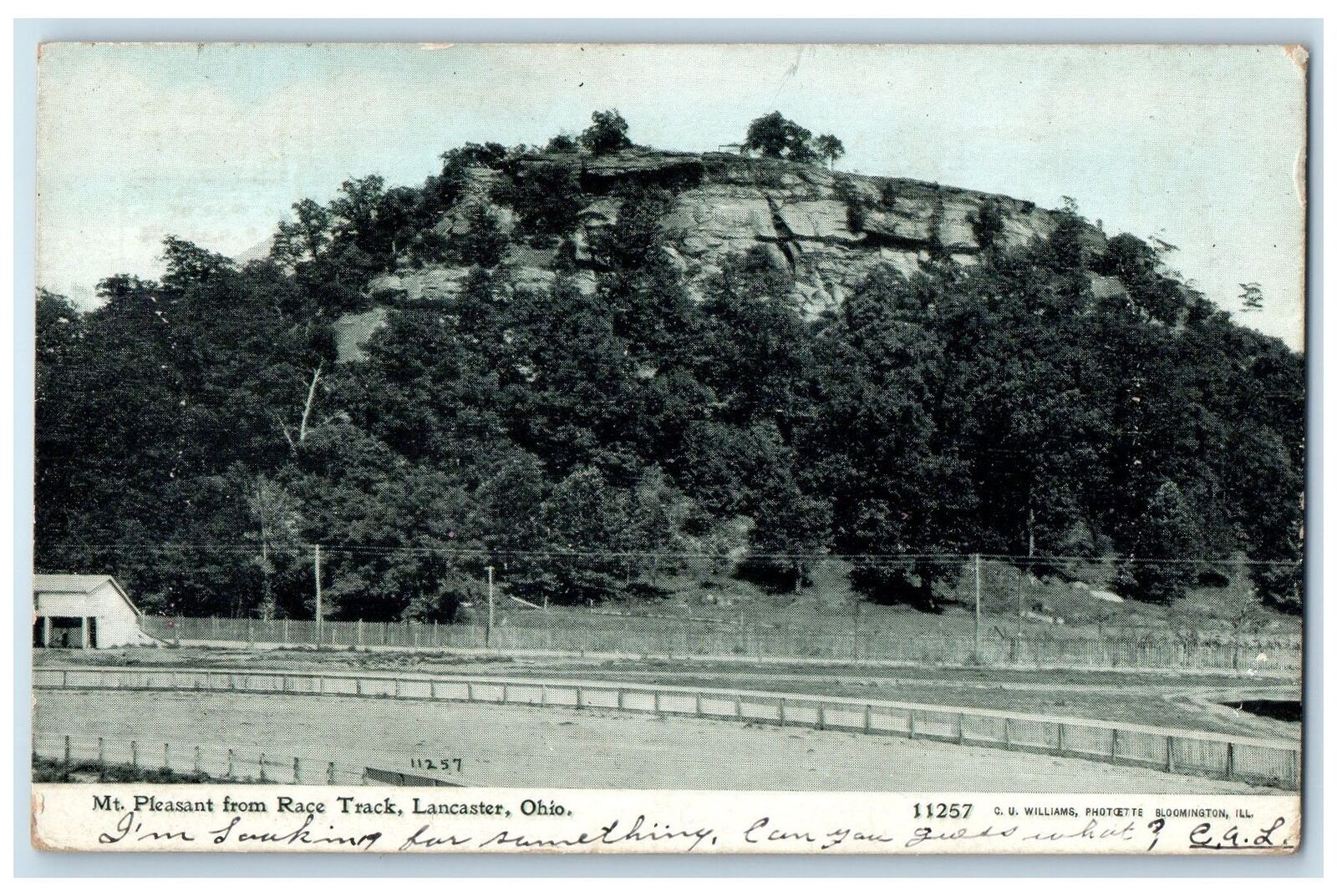 1910 Mt. Pleasant From Race Track Grove View Lancaster Ohio OH Posted Postcard