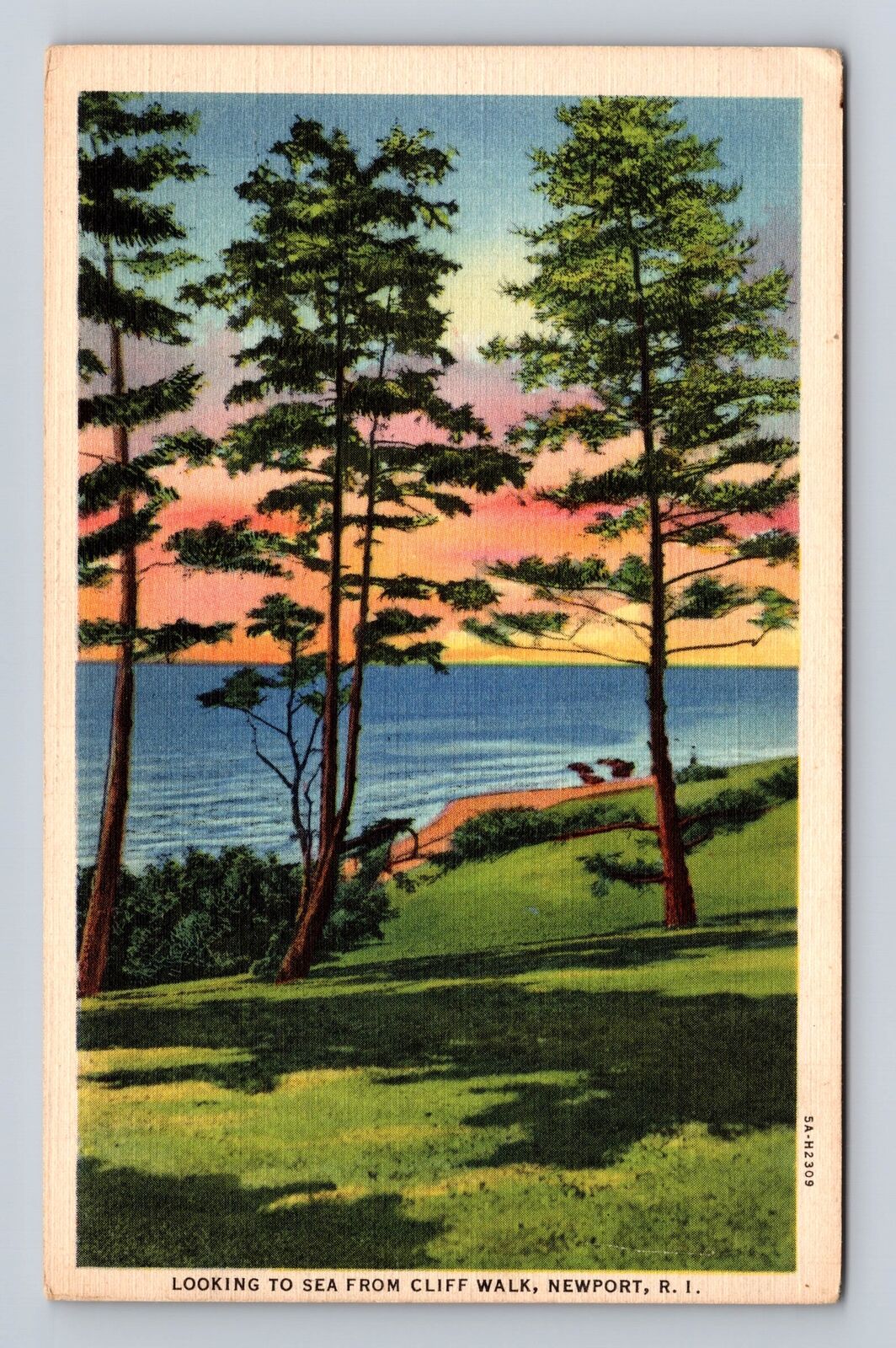 Newport RI-Rhode Island, Looking to Sea from Cliff, Antique Vintage Postcard