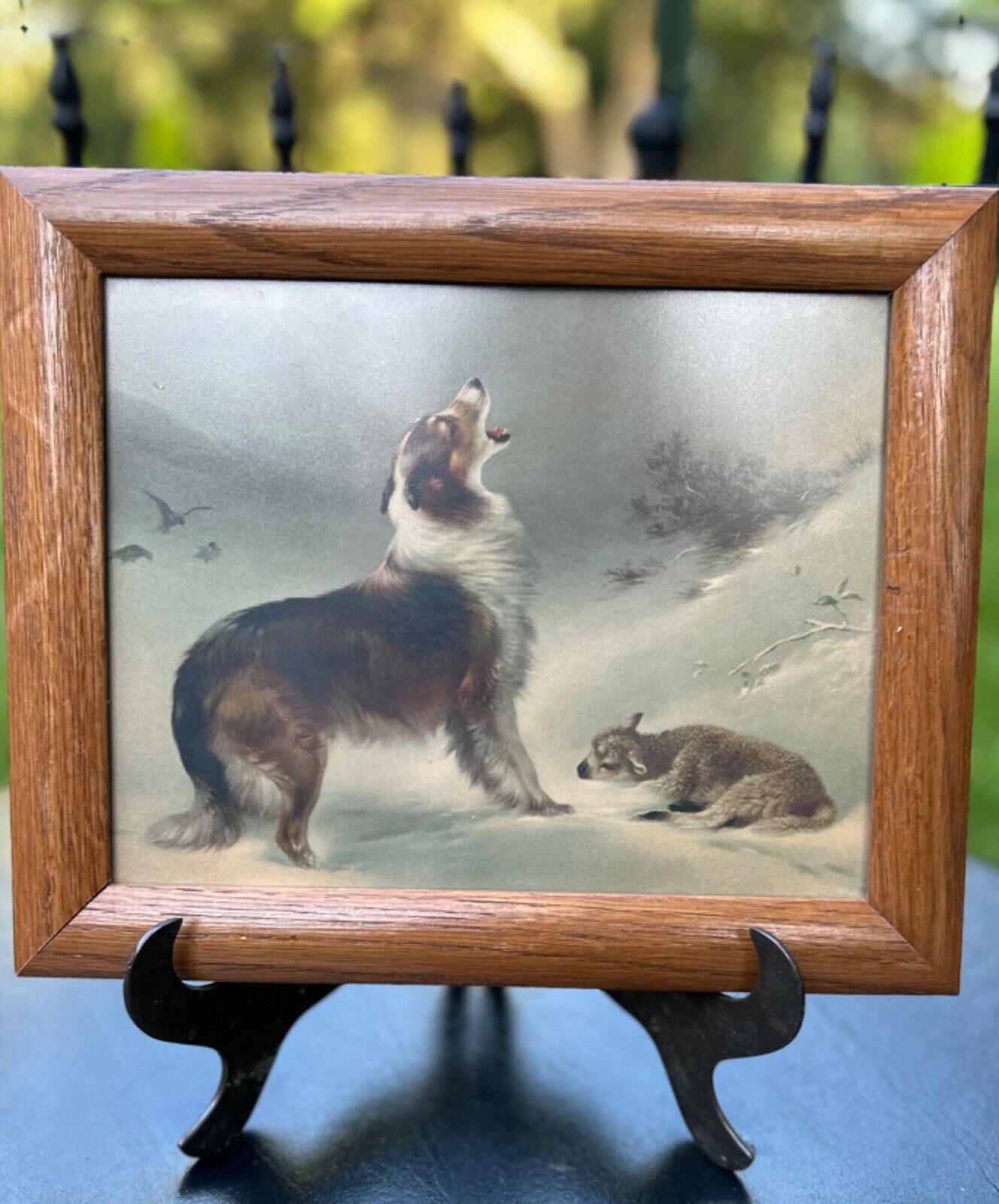 Vintage Collie and Lamb “FOUND” Lithograph Print Howling Dog Oak Framed 12x10”