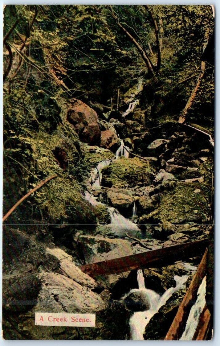 Postcard - A Creek Scene