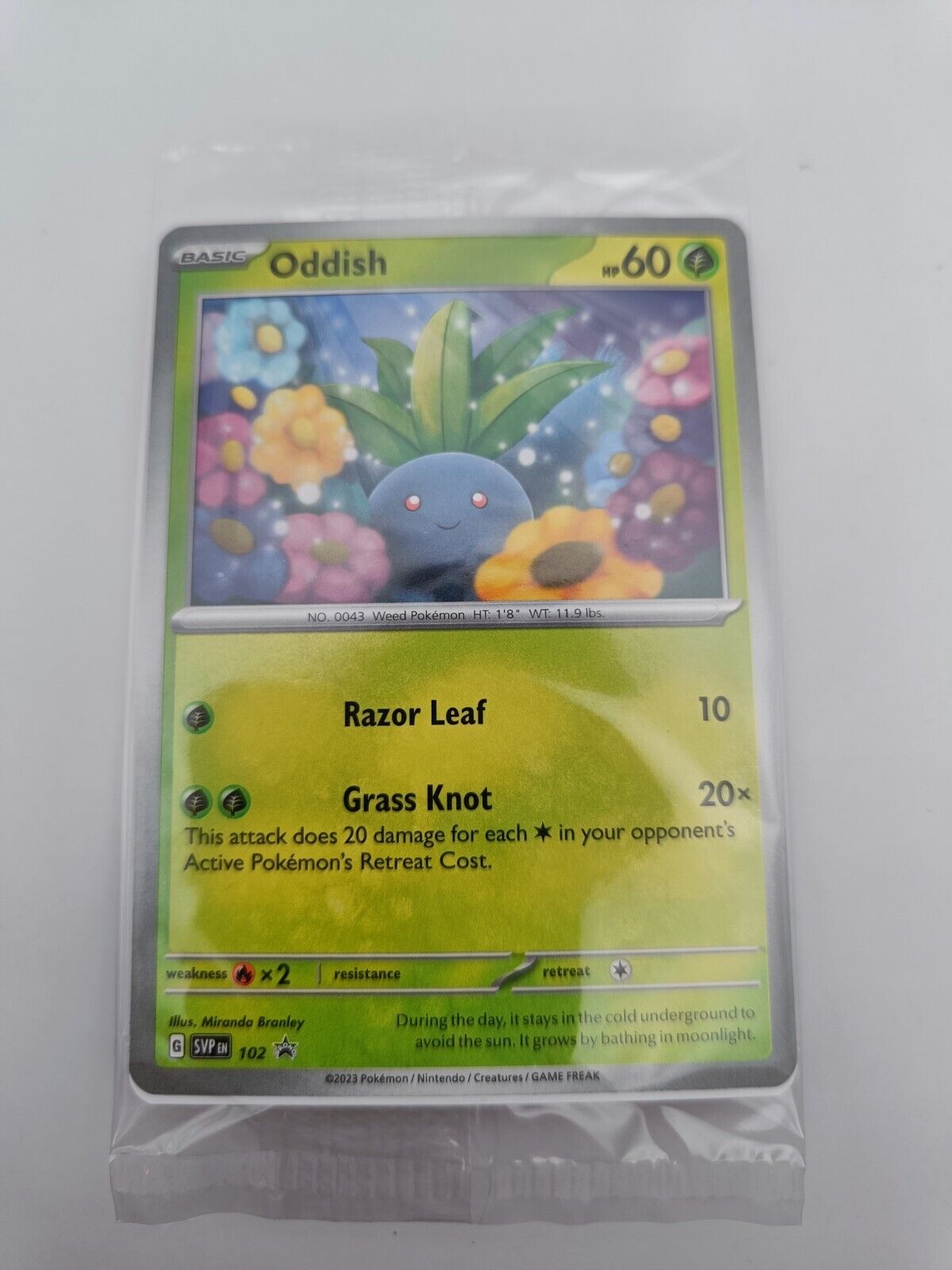 Oddish SVP 102 Promo Path To The Peak Pokémon Card Sealed NM/MINT Scarlet&Violet