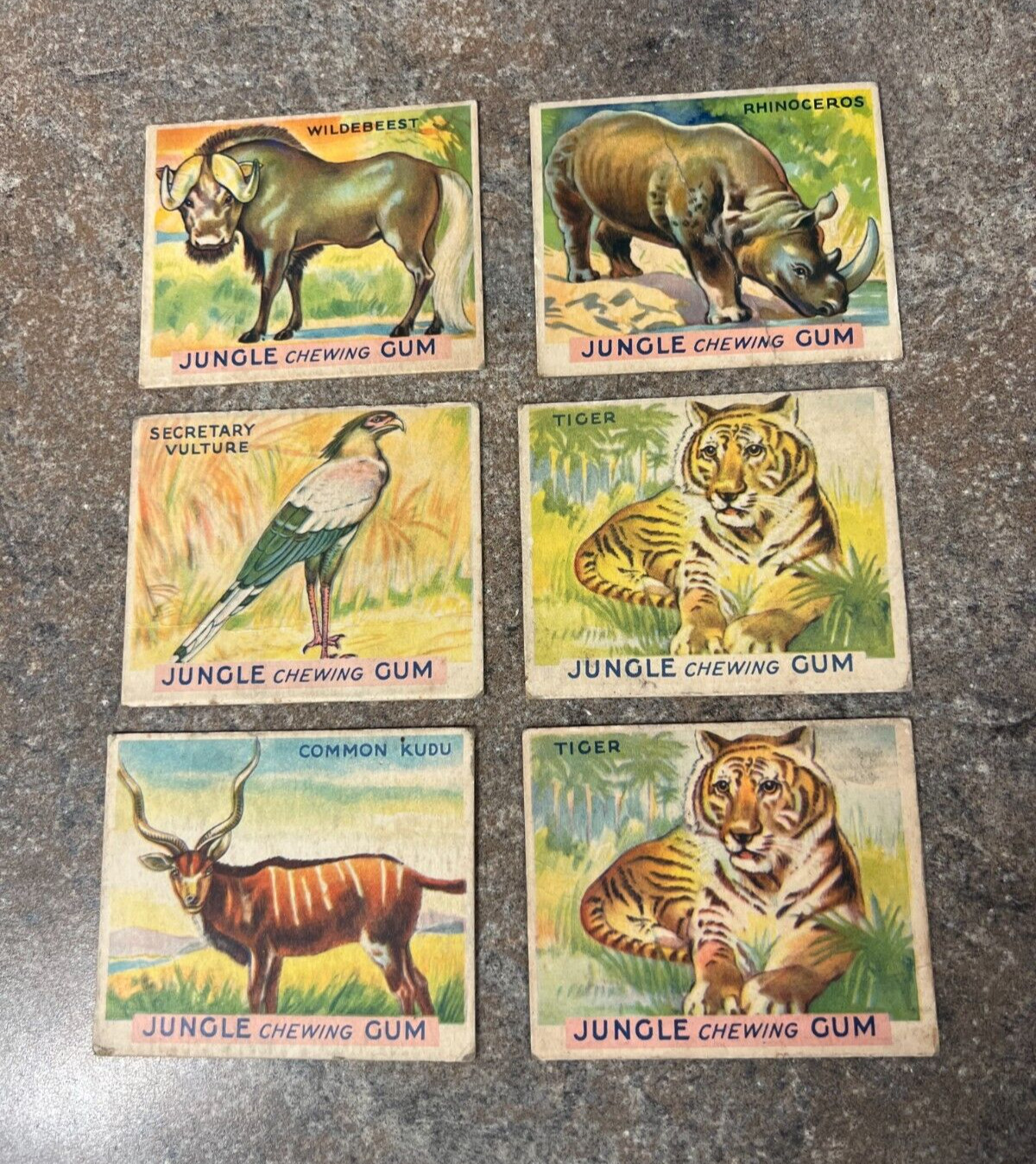Lot of 6 Jungle Chewing Gum Safari Animal Trading Cards