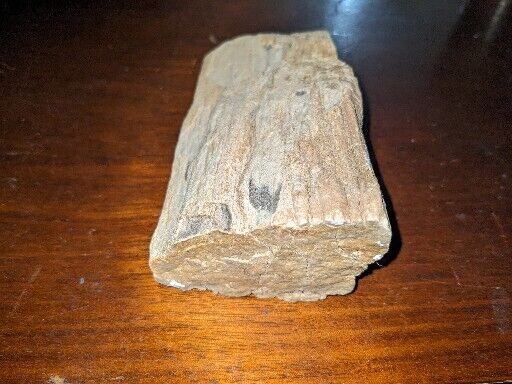 Prehistoric Paleo-American, petrified wood. Well Defined.