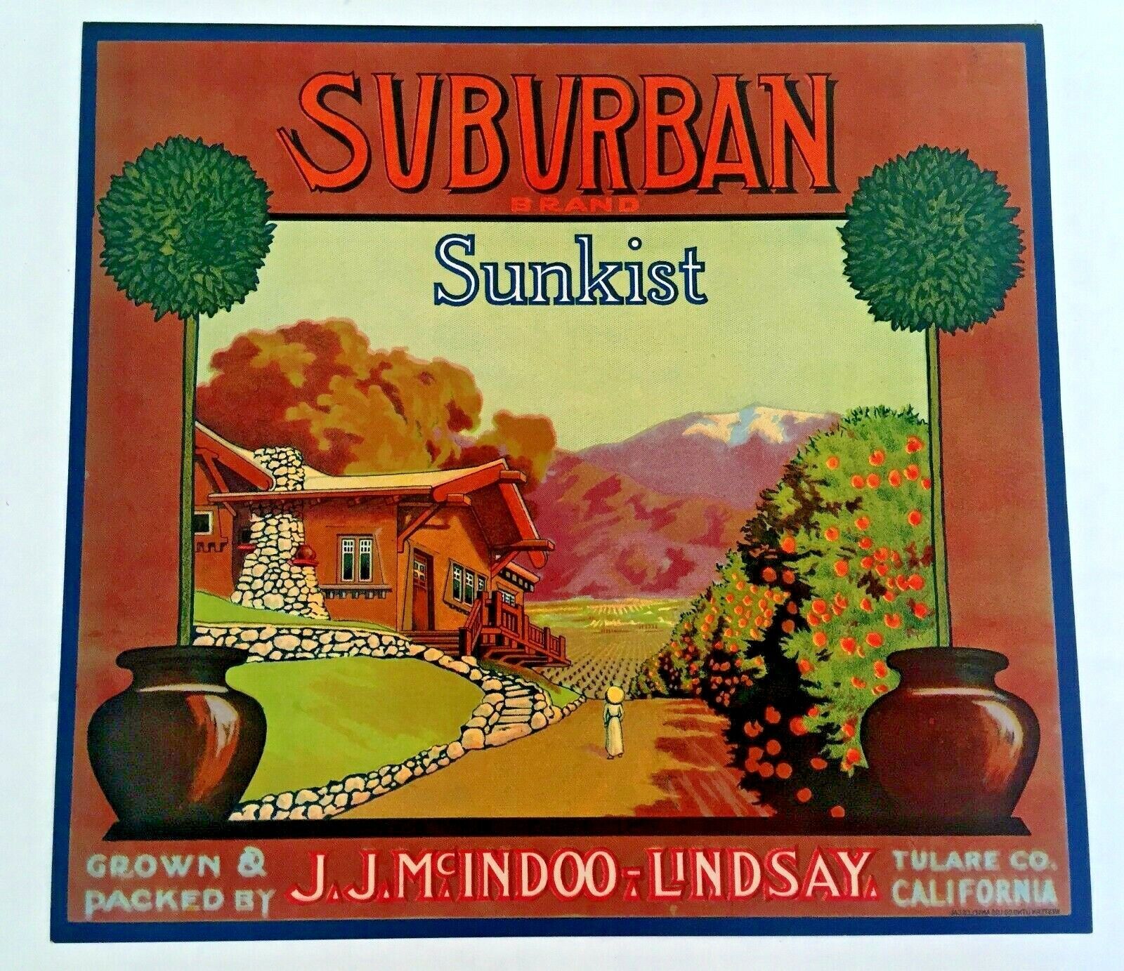 Rare 1920s Suburban Sunkist Orange Crate Label Image of Craftsman Style House