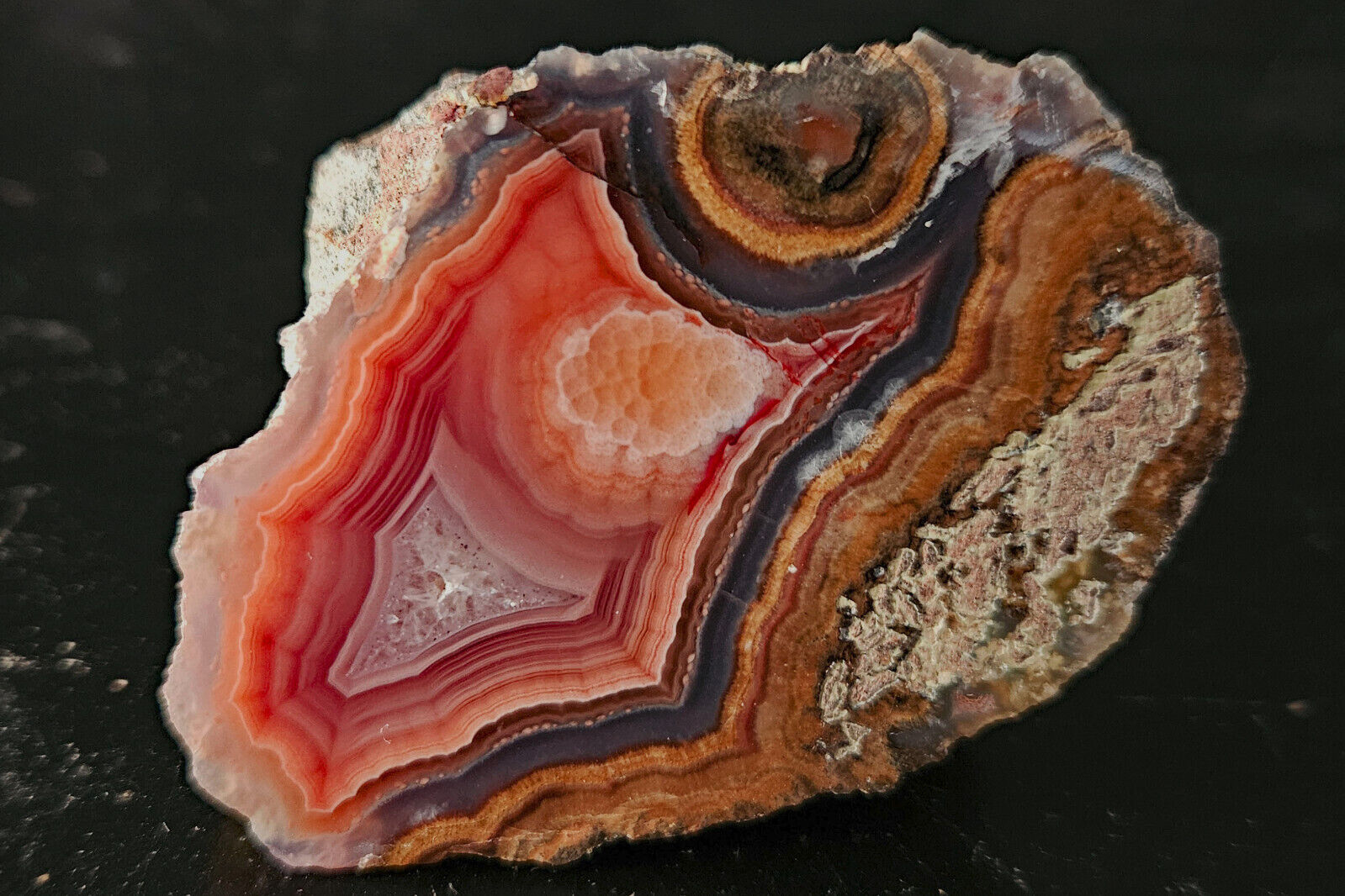 BEAUTIFUL Polished Laguna Agate with Sagenite Collector Specimen, Mexico
