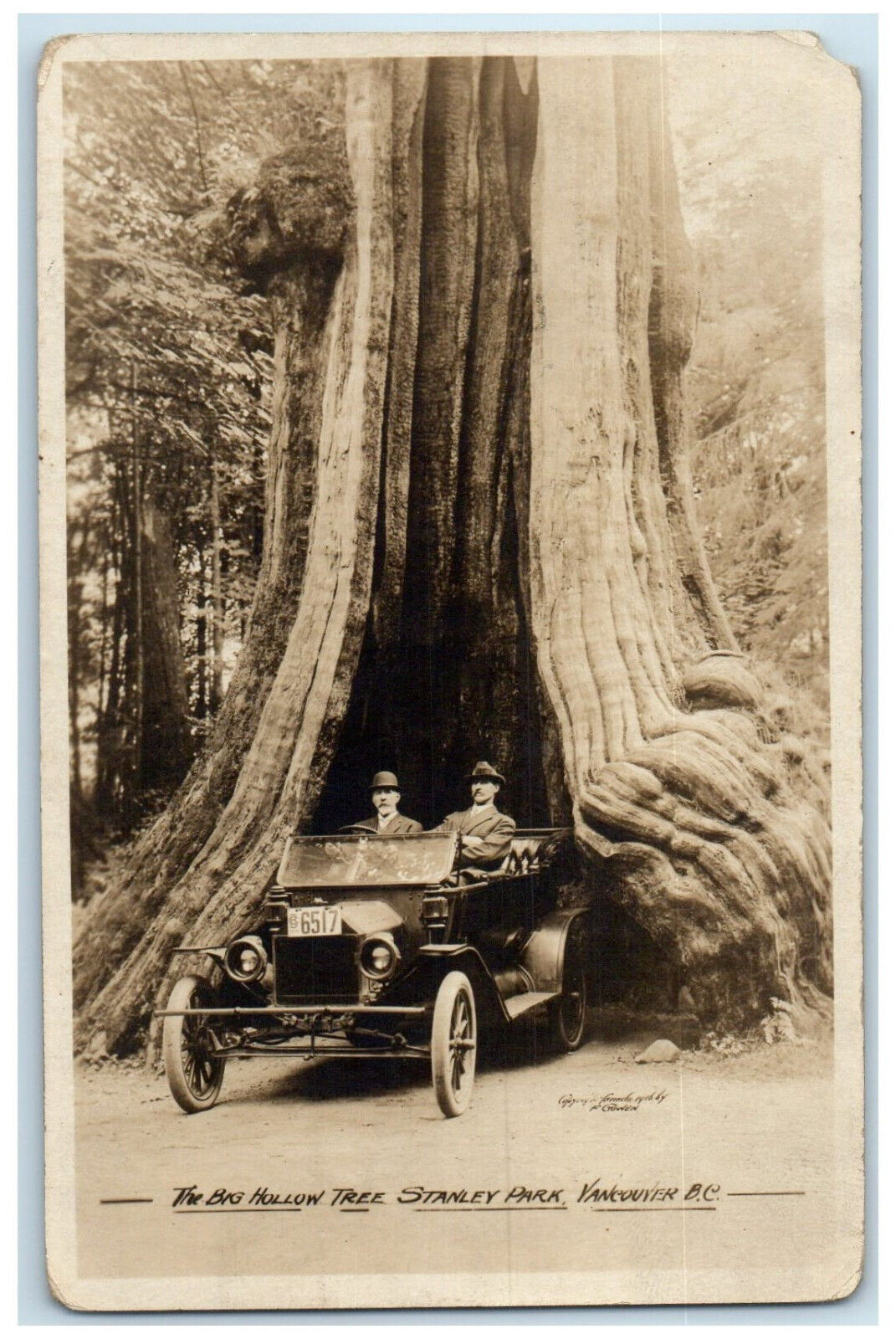 c1920's The Big Hallow Tree Stanley Park Vancouver BC Canada RPPC Photo Postcard