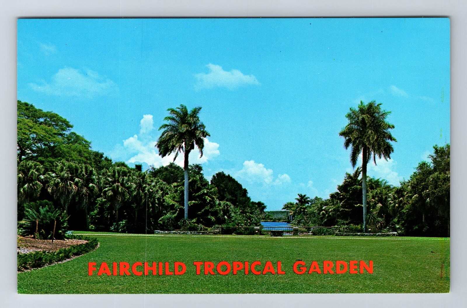 Miami FL-Florida, Fairchild Tropical Garden, Antique, Vintage Postcard