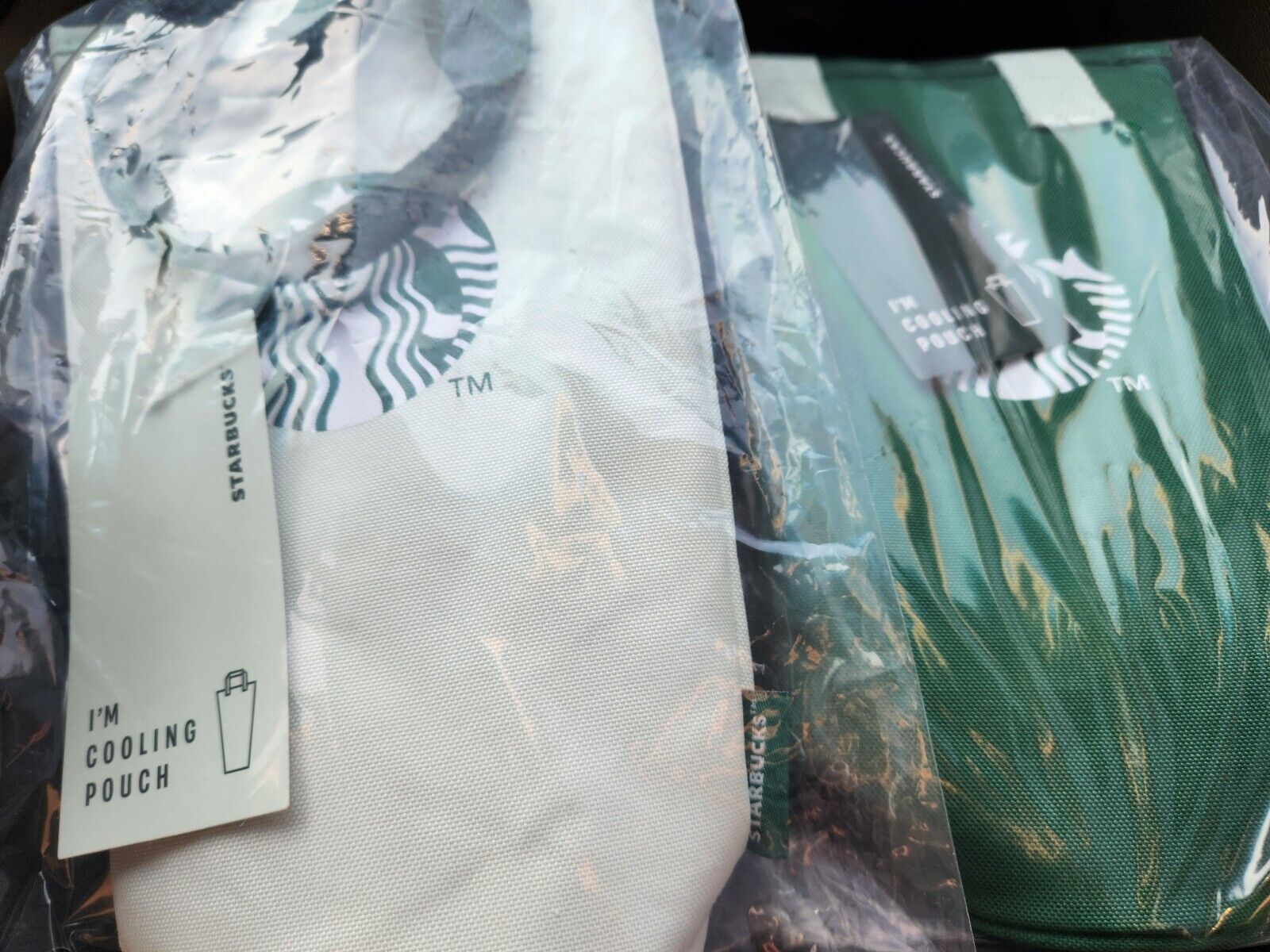 Starbucks Korea 2024 Cooling Pouch Set spring edition mint green