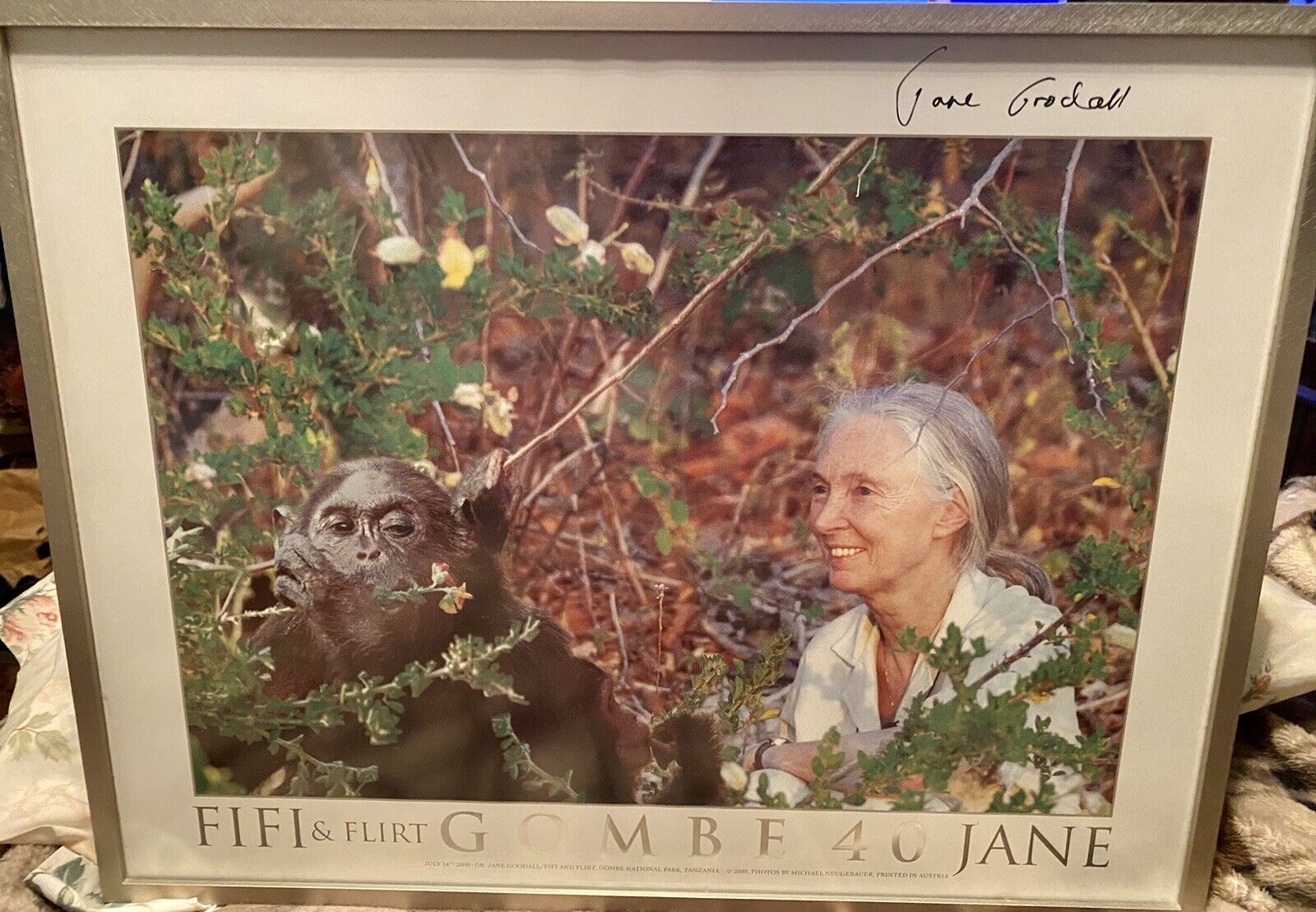 Jane Goodall Hand Signed Autographed Poster. Custom Framed.