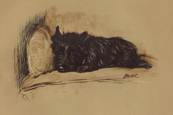 Cairn Terrier - CUSTOM MATTED - Lucy Dawson Dog Art Print - NEW