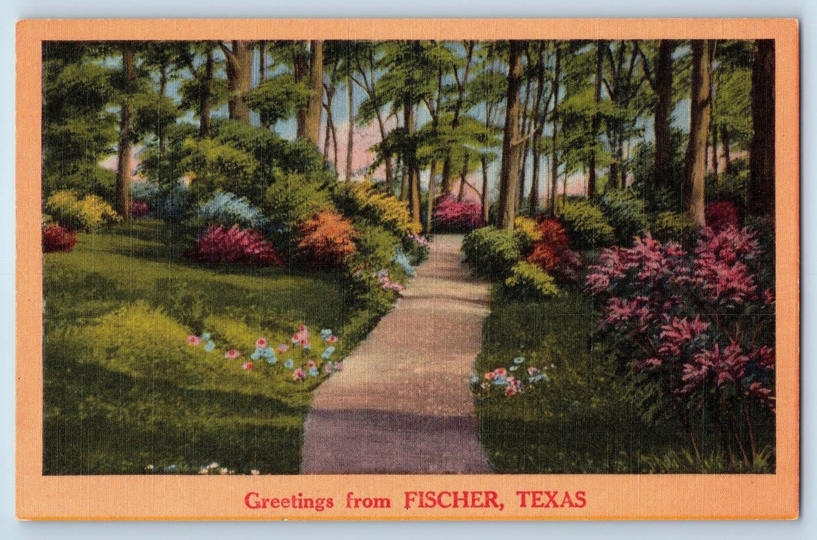 Fischer Texas TX Postcard Greetings Path Walk Trees Scenic View c1940's Vintage