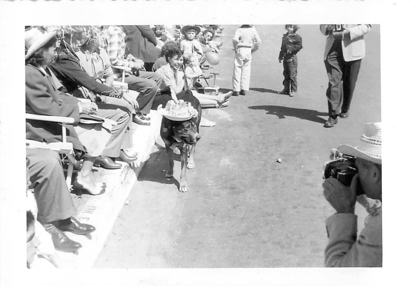 1950s Photo Parade Desert Circus Palm Springs Riverside Elmer Dog Photographer