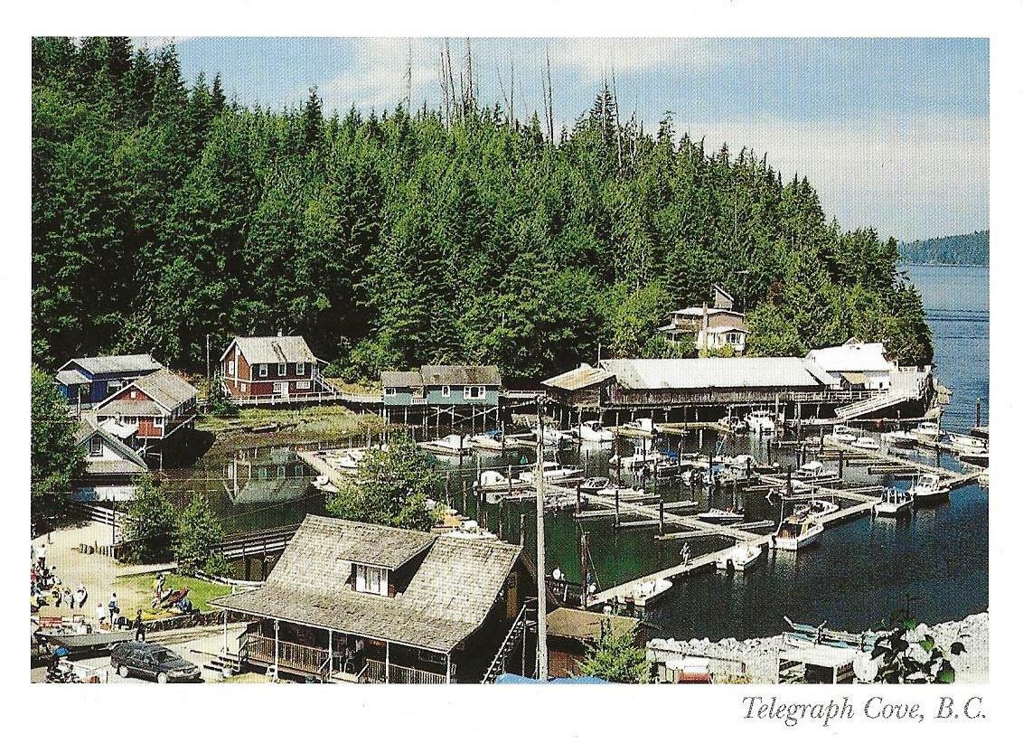 Postcard British Columbia Vancouver Island Telegraph Cove NrMint Unused 