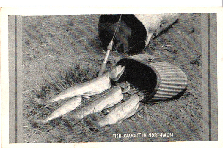 Vintage Fish Caught in Northwest RPPCU.S. Forest Svc. Photo by NW Mag. Dist. A10