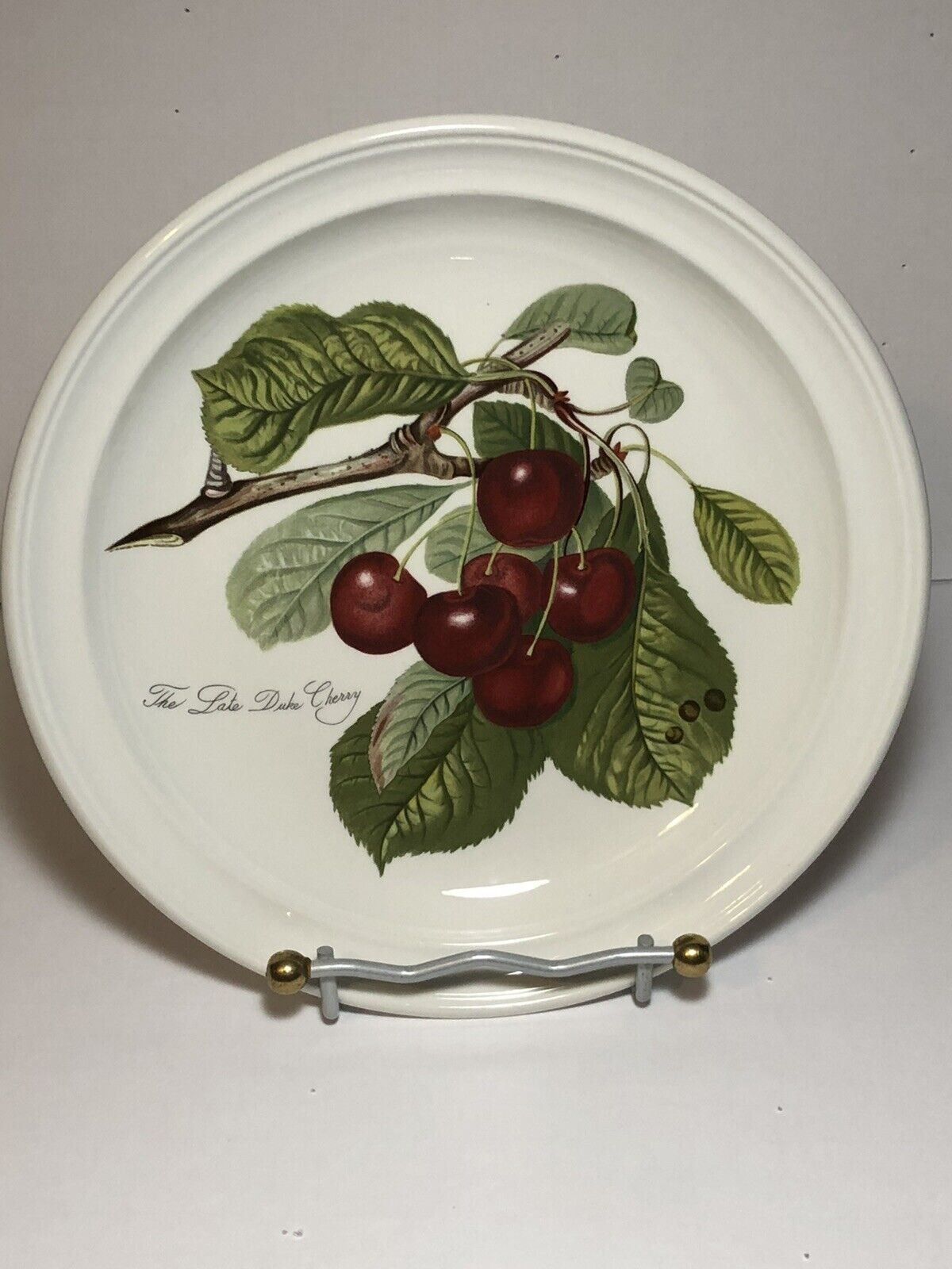 Pomona Portmeiron 10 1/2” Dinner Plate The Late Duke Cherry. 