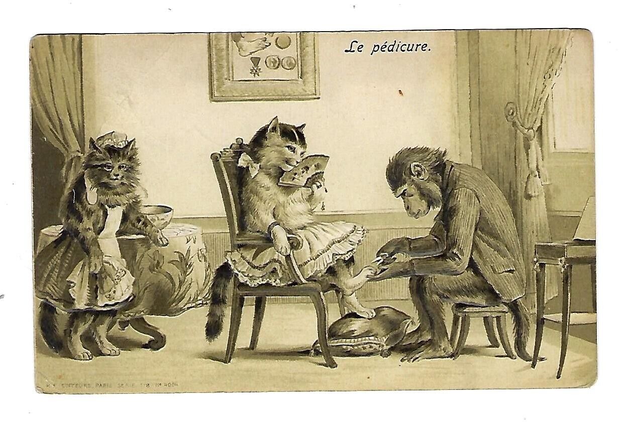 1908 Postcard Monkey Doing A Pedicure on Cats - Embossed