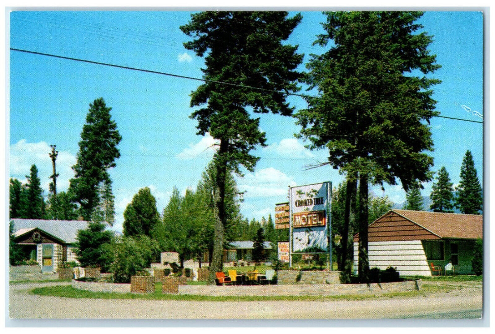 c1960's The Crooked Tree New Motel & Cabins Hungry Horse Montana MT Postcard