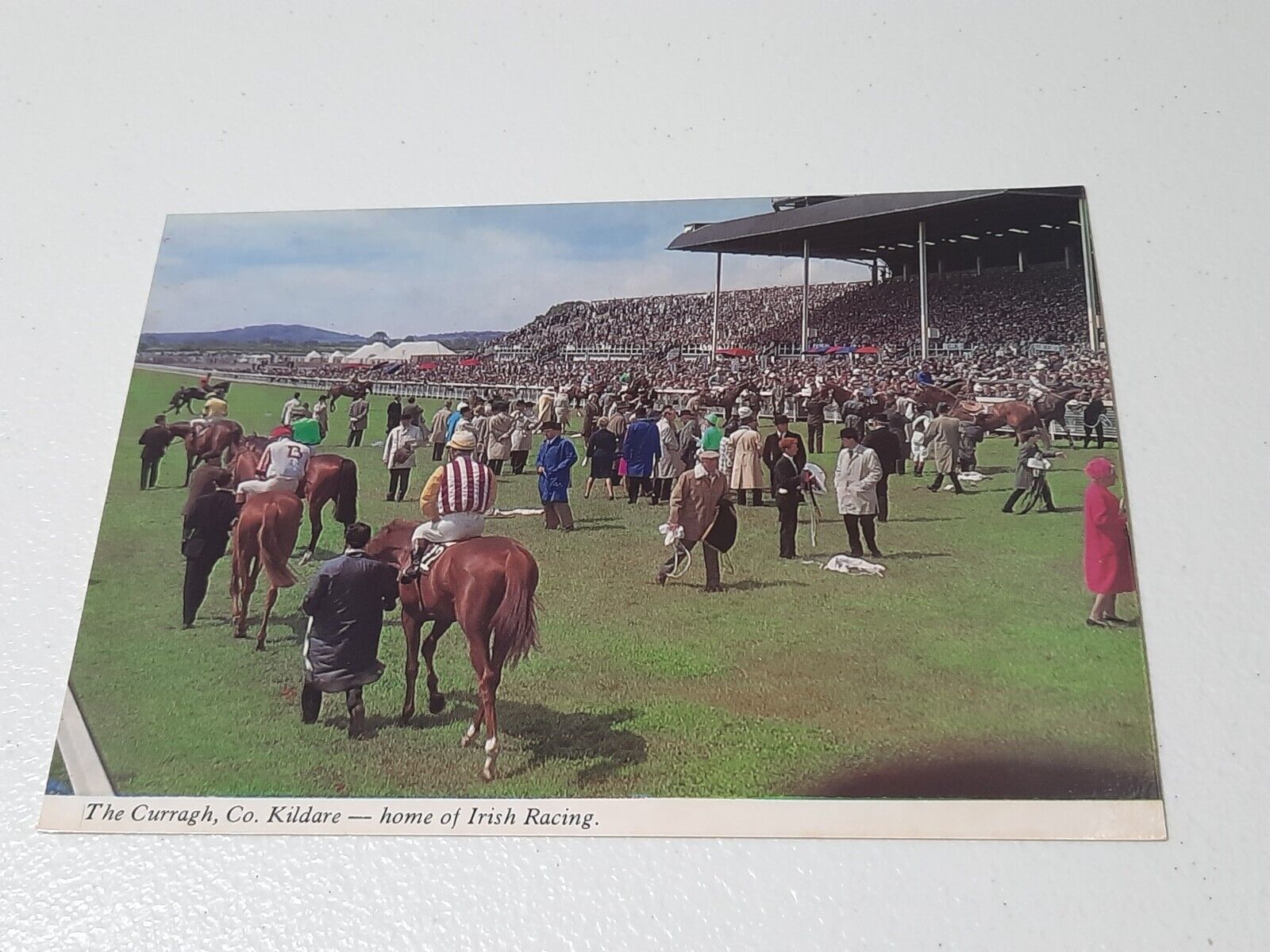 The Curragh, Co. Kildare Home Of Irish Ireland Horse Racing Vintage Postcard
