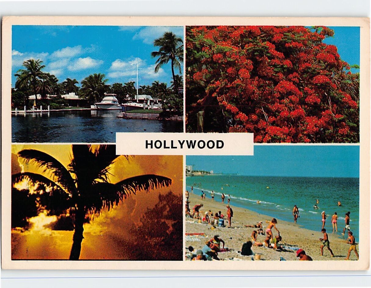 Postcard - Tropical Hollywood, Florida, USA
