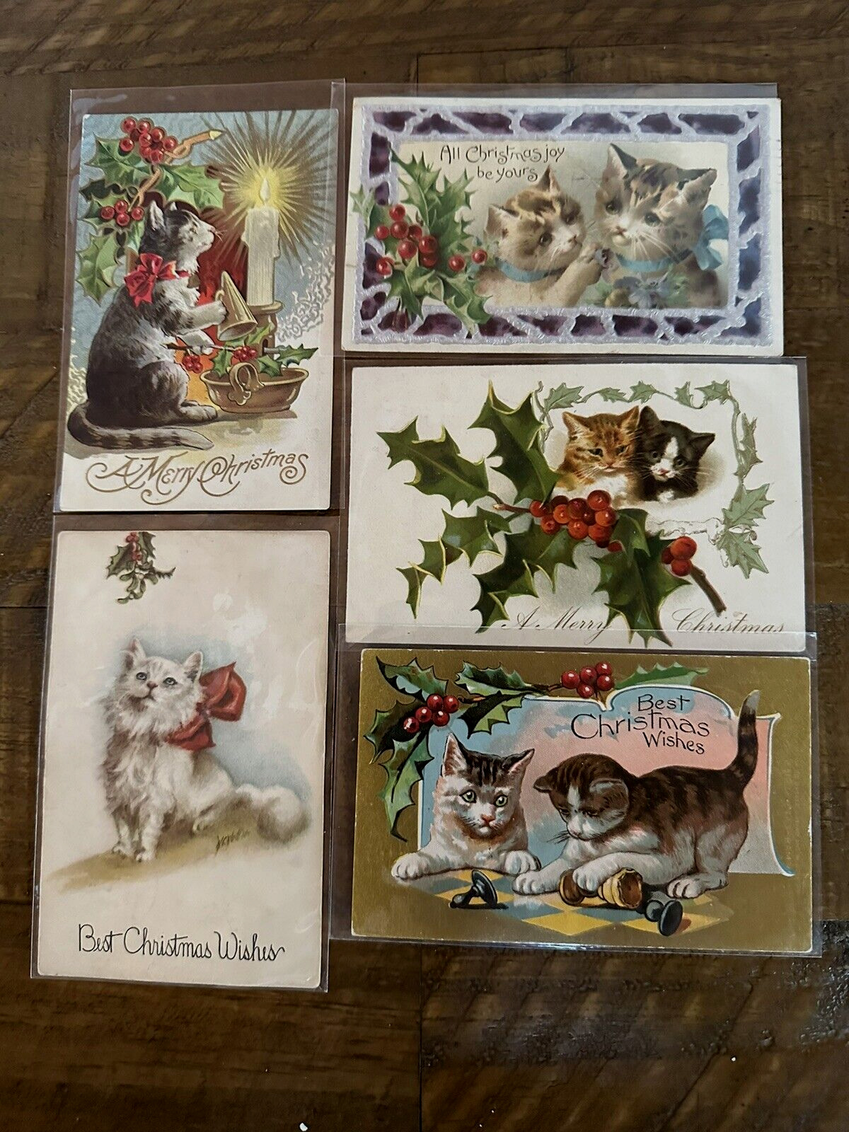 Cute Lot of 5 ~Christmas Cats~kittens~Antique Xmas Cat Postcards~k539