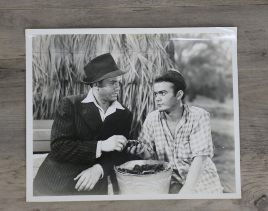 The Treasure of The Sierra Madre Movie Humphrey Bogart Pictures 8x10\
