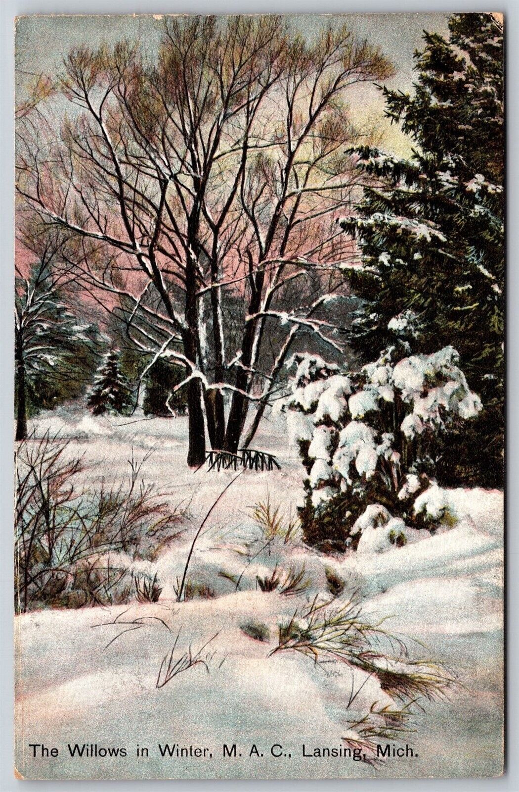 Postcard The Willows in Winter MAC Lansing Michigan B163