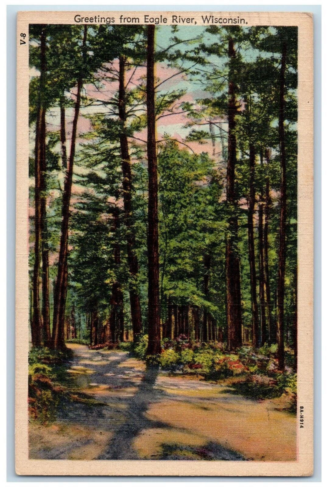 1947 Greetings From Eagle River Wisconsin WI, Nature Scene Posted Postcard