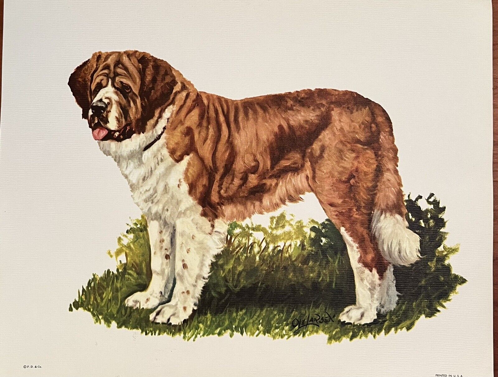 Vintage Ole Larsen Dog Print St. Bernard Saint Bernard