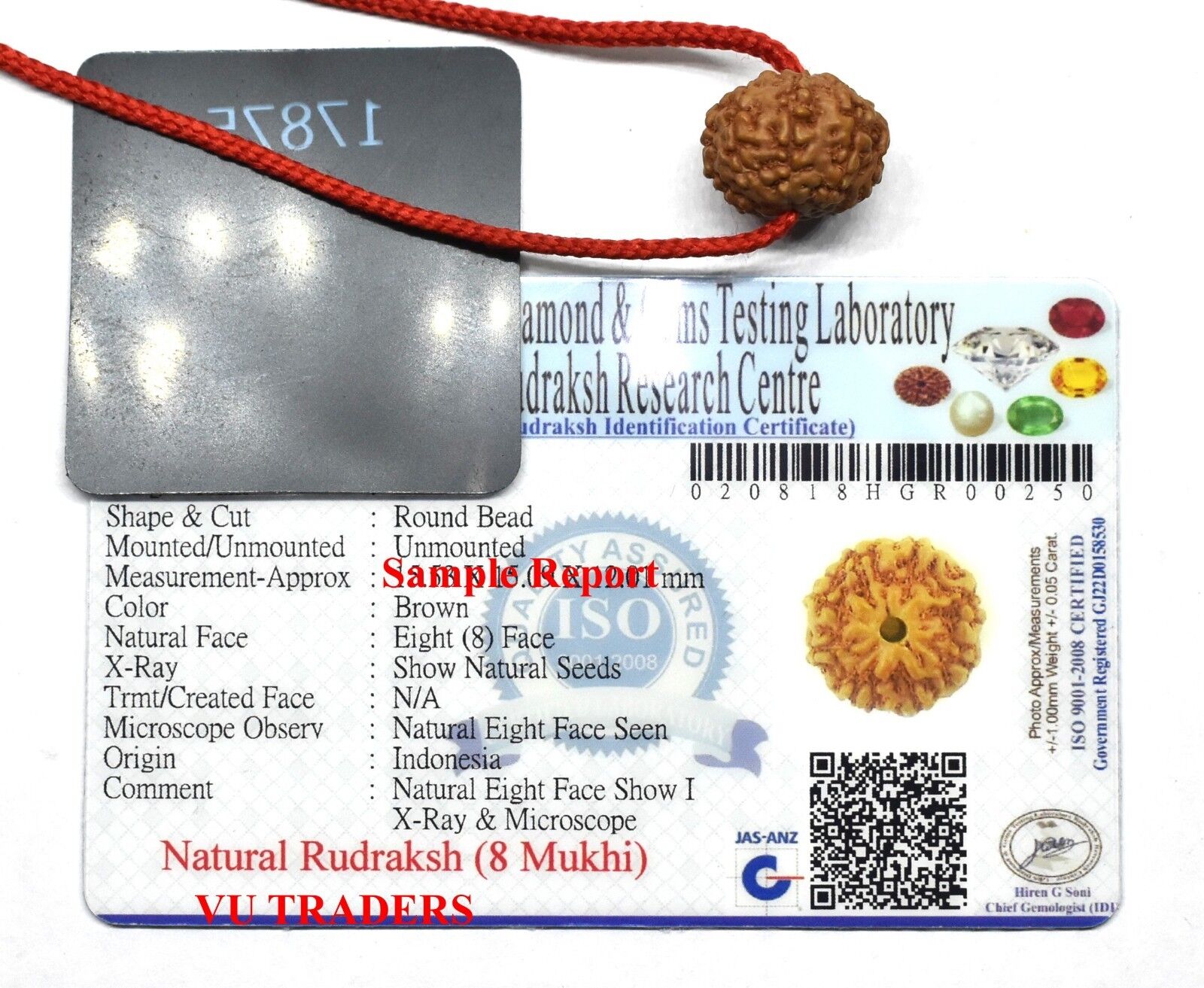 8 Mukhi rudraksha / Eight Face Rudraksh Java Bead Lab Certified Size 14-16 MM