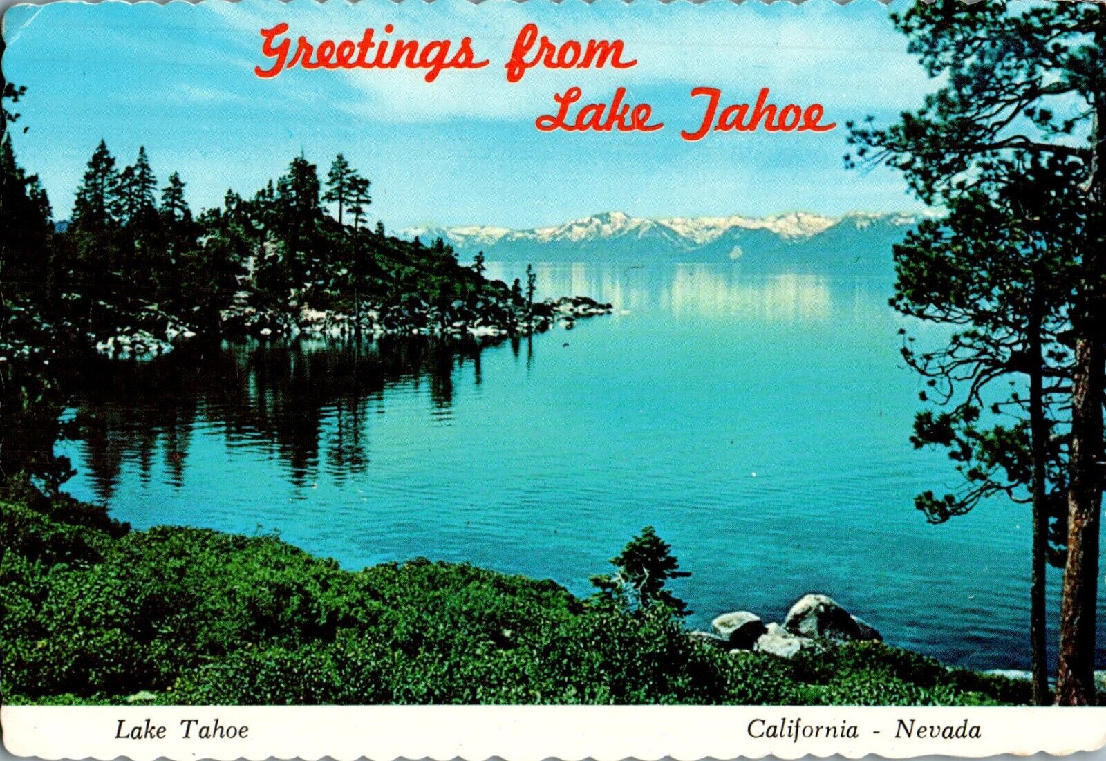 Greetings from Lake Tahoe 1978 chrome Postcard