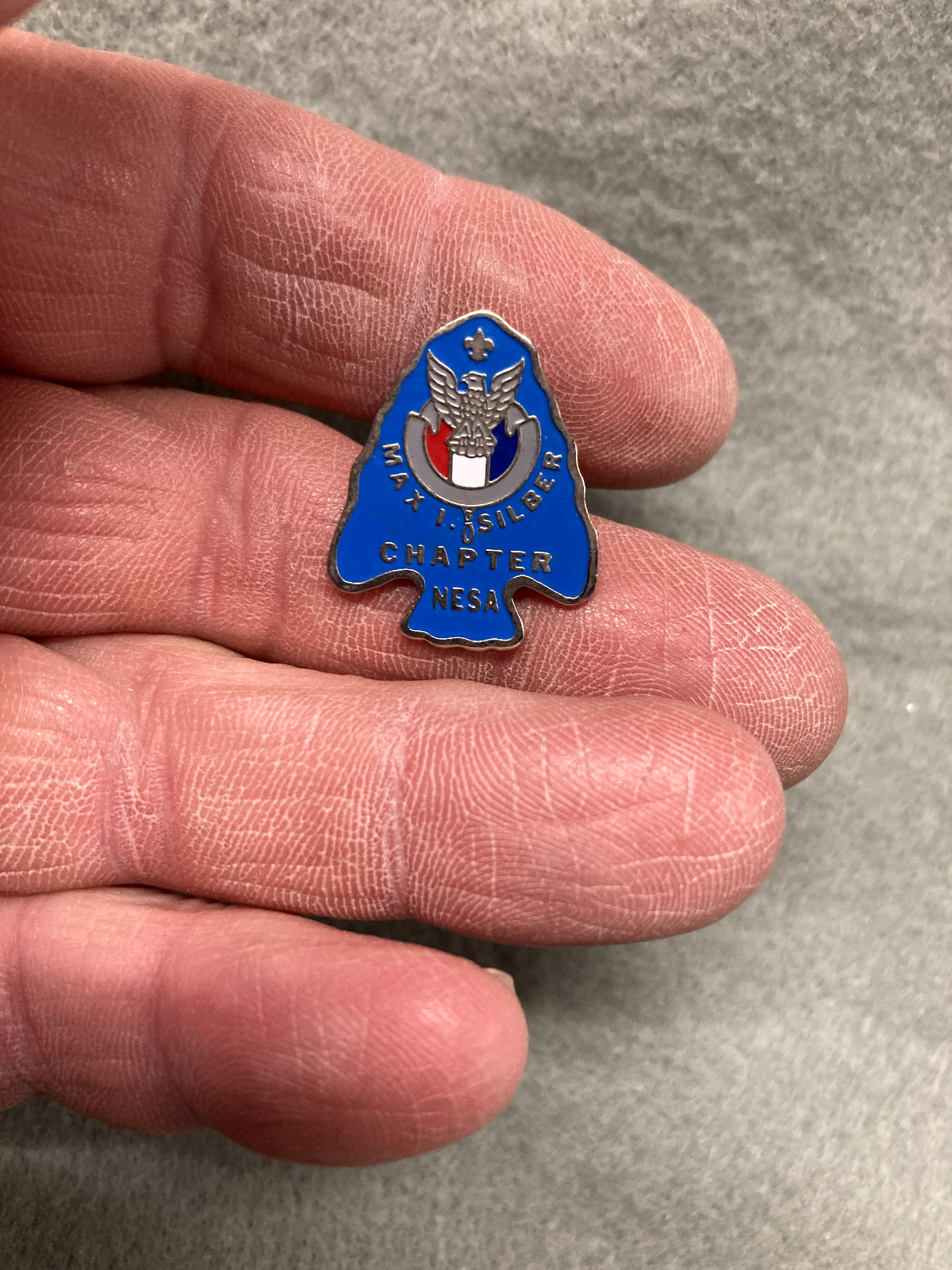 (123)   Boy Scouts /  Max Silber Chapter - National Eagle Scout Association pin