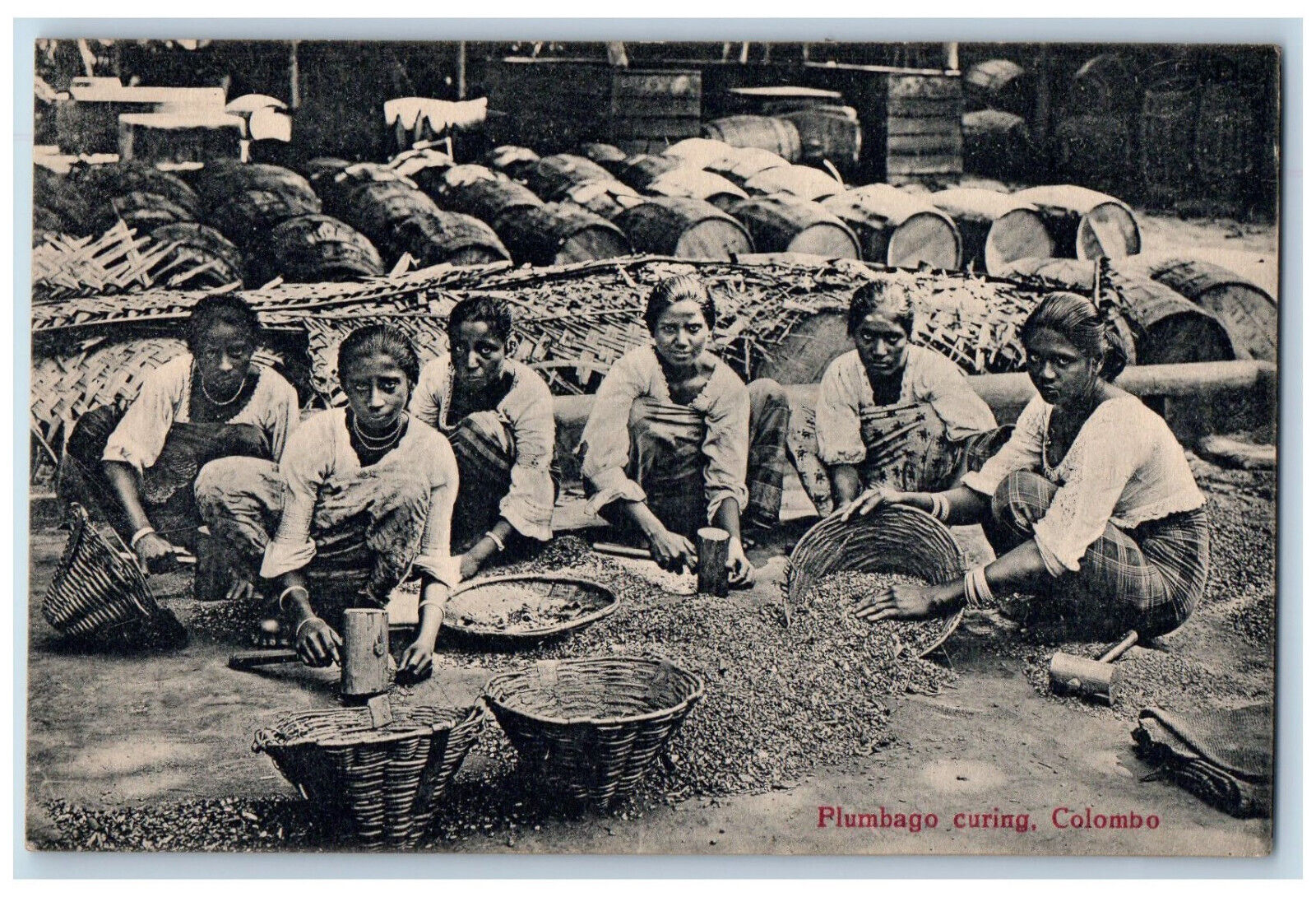 Colombo Sri Lanka Postcard Women Plumbago Curing Scene c1910 Unposted