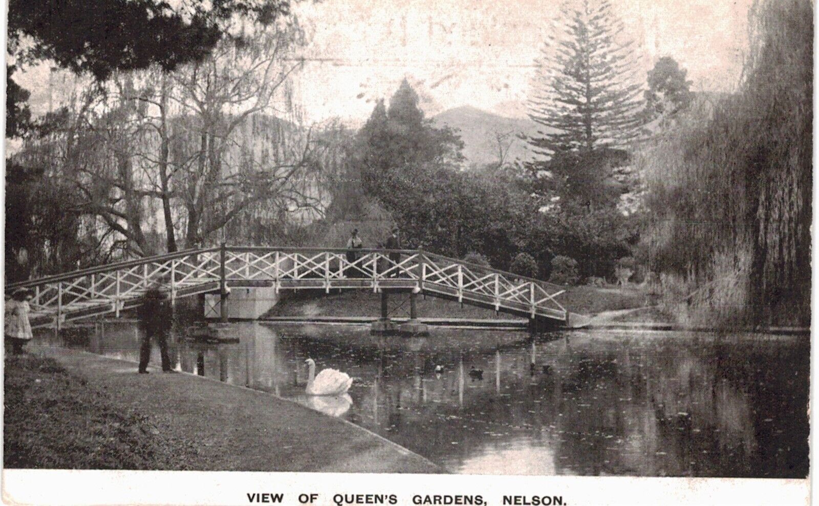 New Zealand Nelson Queen's Gardens Swans   1910  NZ 