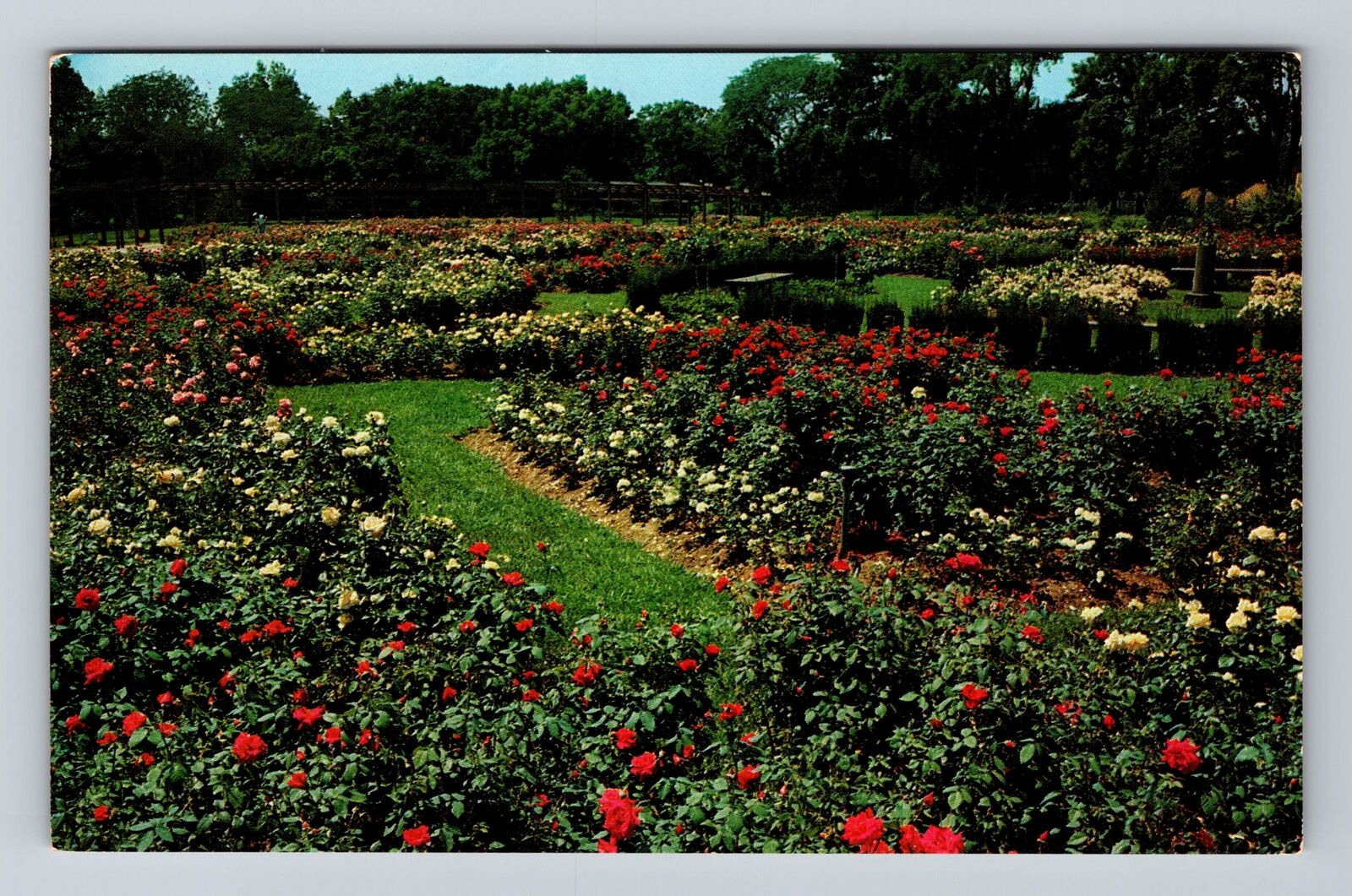 Columbus OH-Ohio, The Park of Roses, Antique Souvenir Vintage Postcard