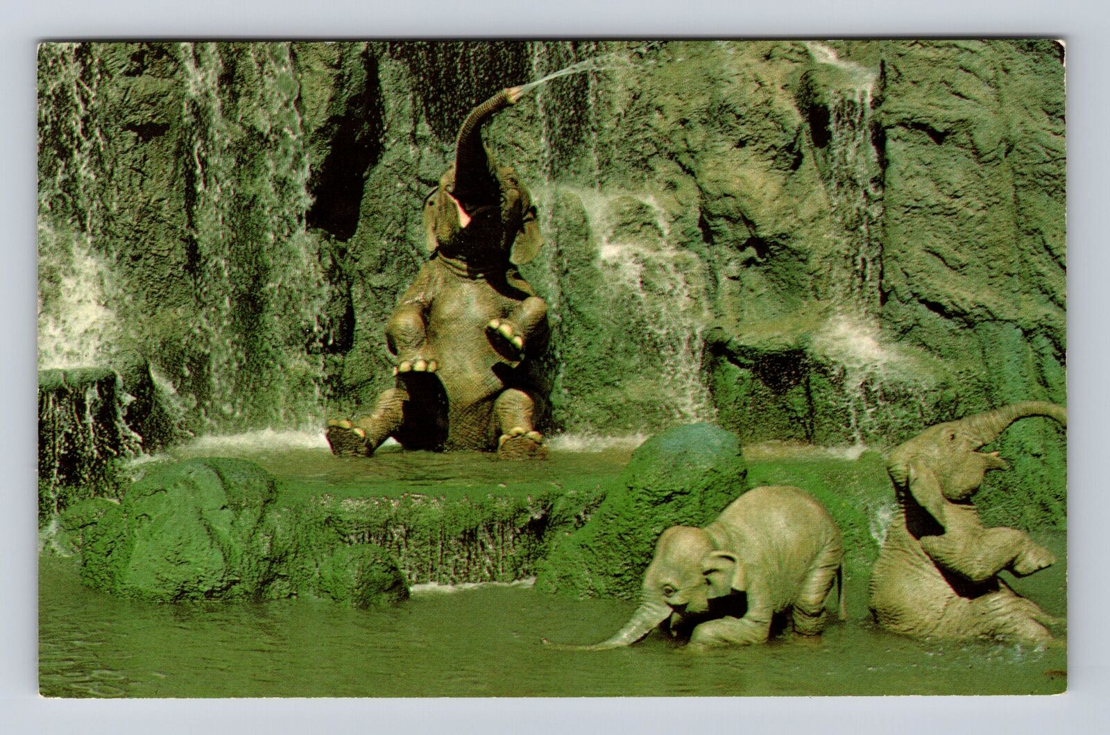 Orlando FL-Florida, Elephant Bathing Pool, Walt Disney World, Vintage Postcard