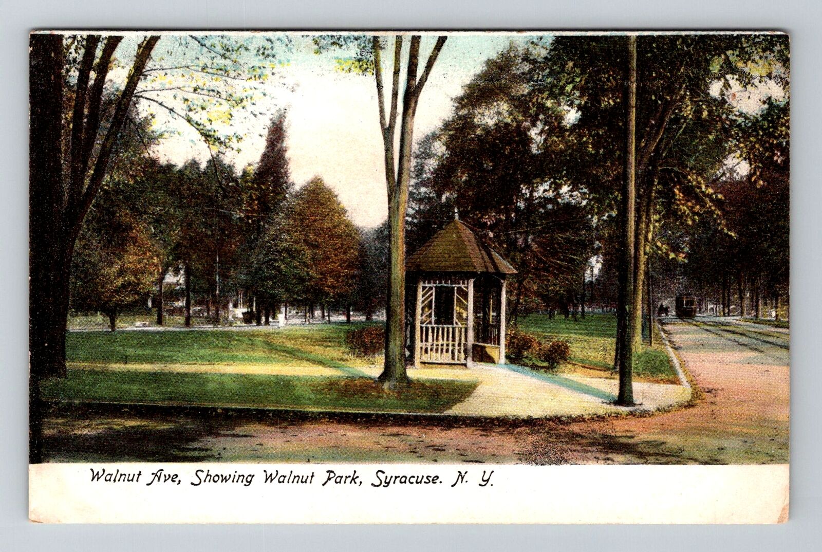 Syracuse NY-New York, Walnut Park Vintage Souvenir Postcard