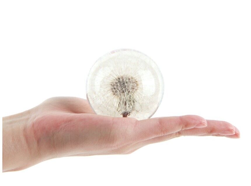 Dandelion Paperweight , Made from a real dandelion seed puff