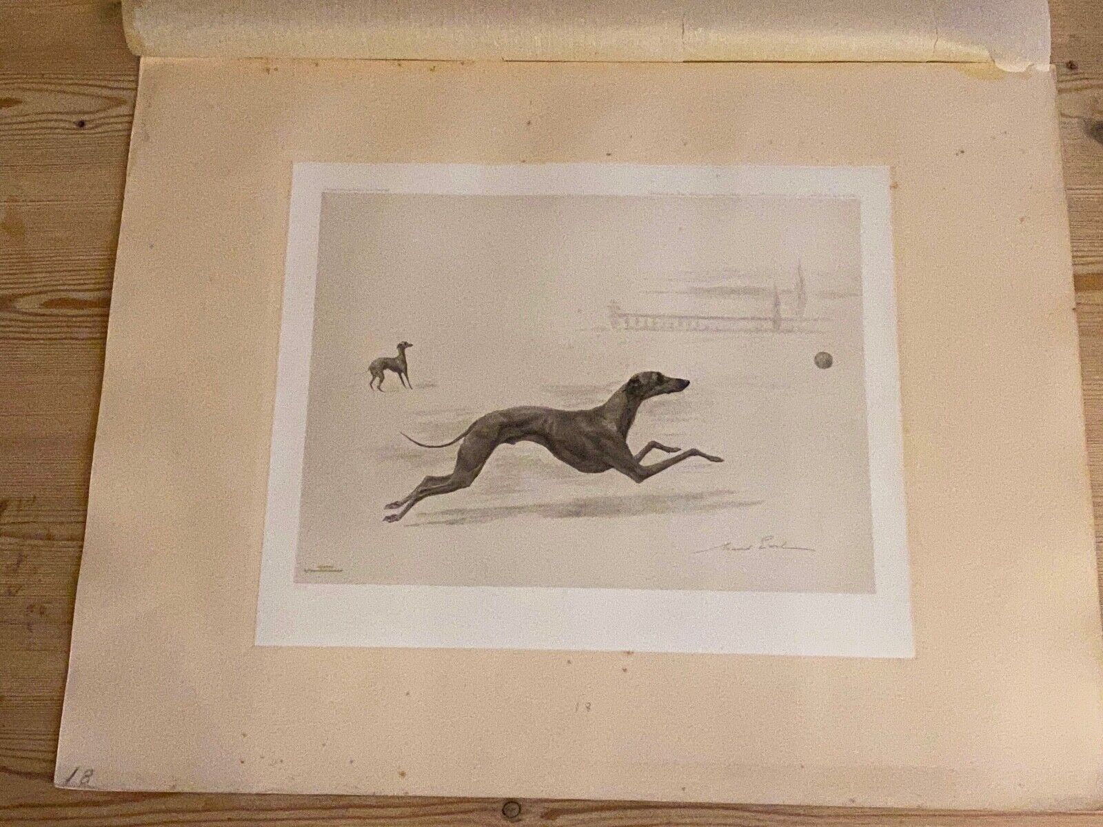 LARGE ANTIQUE ITALIAN GREYHOUND DOG PICTURE MAUD EARL 1903 LIMITED EDITION DOGS